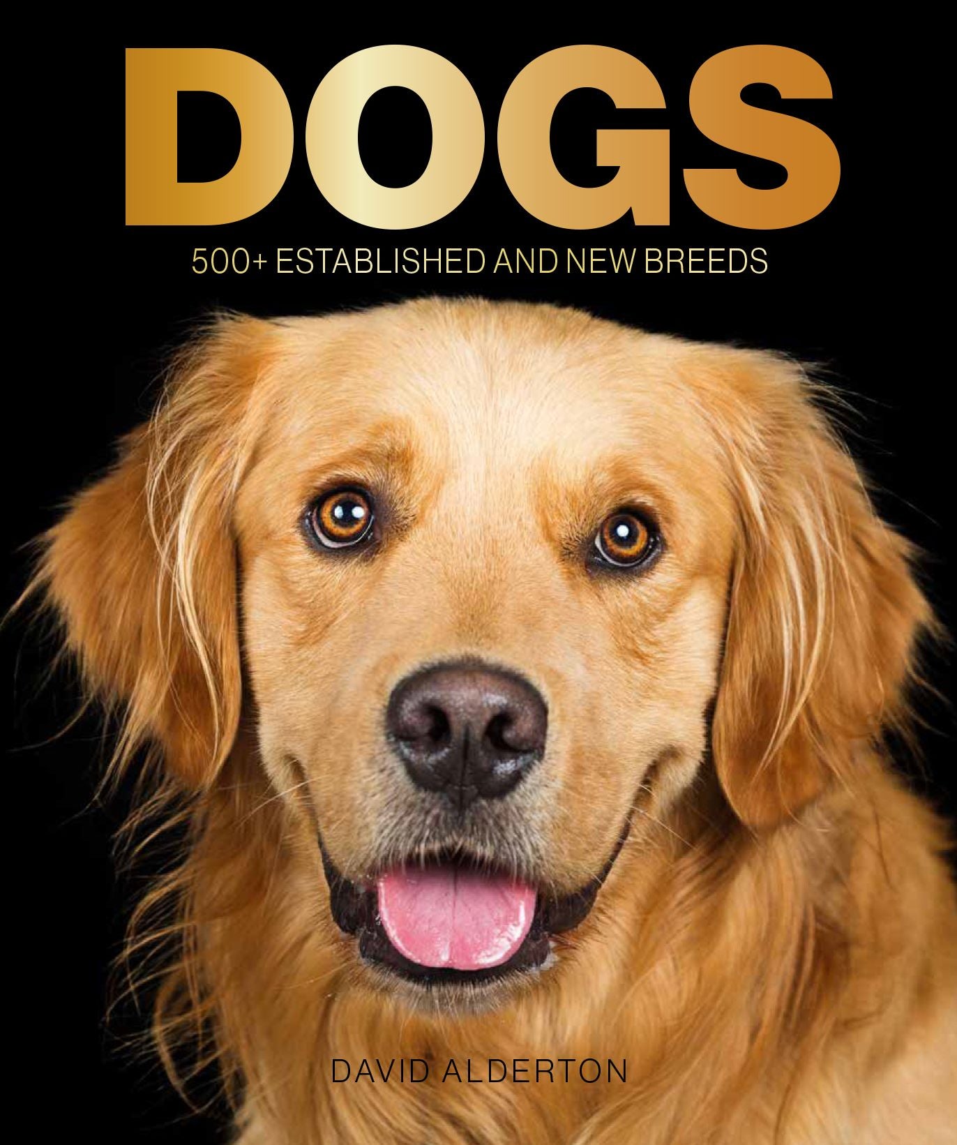 Dogs