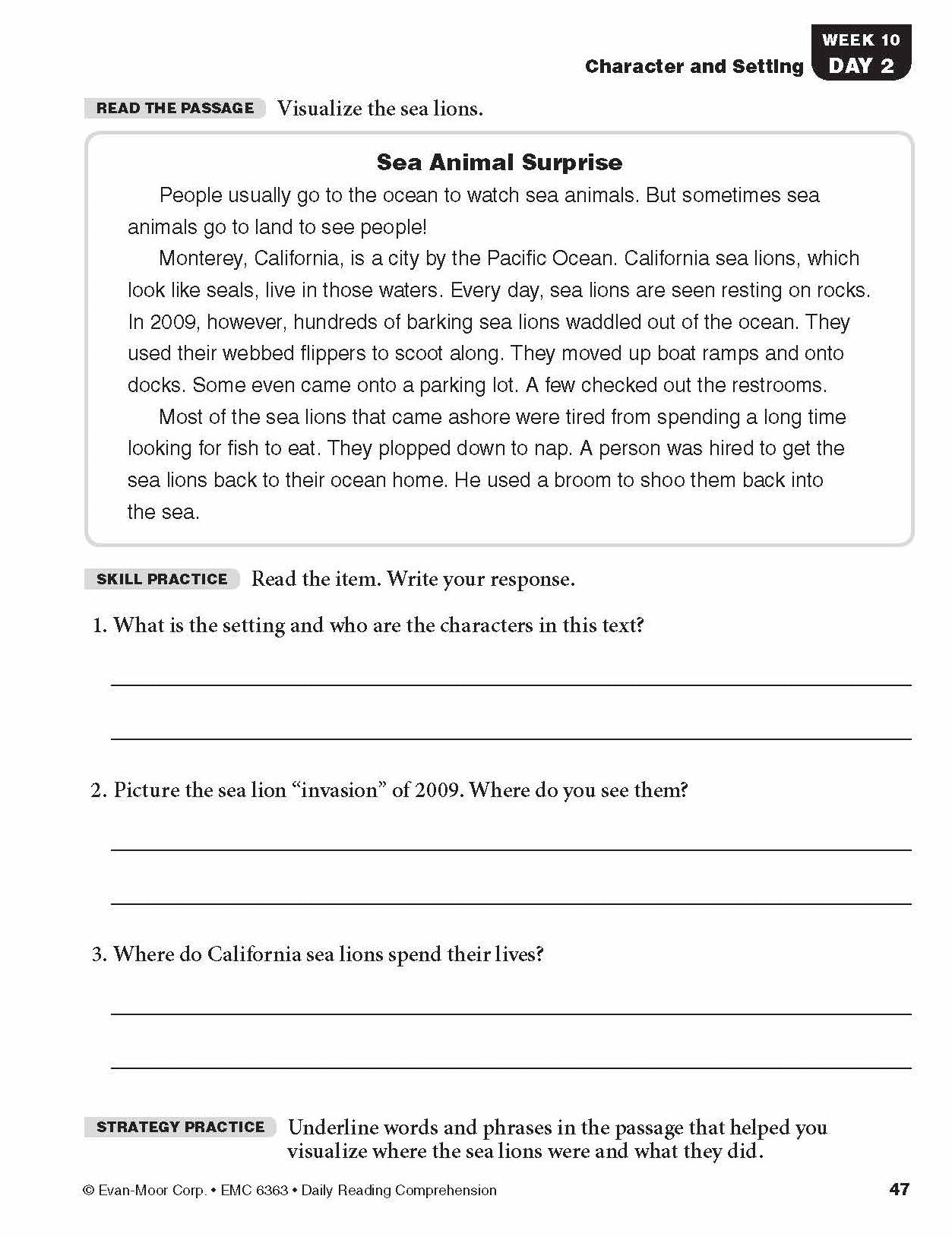 Daily Reading Comprehension, Grade 3 Sb