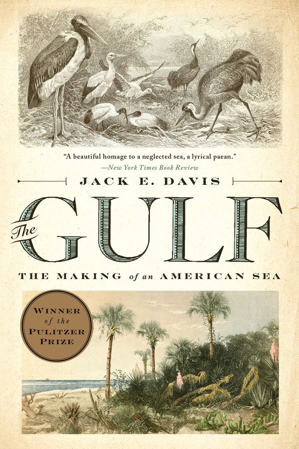 The Gulf: The Making of an American Sea (Pulitzer Prize Winner)