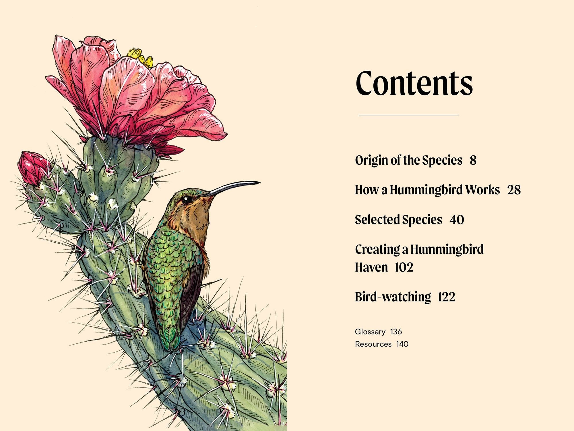 A Little Book of Hummingbirds: A Bird Identification Book