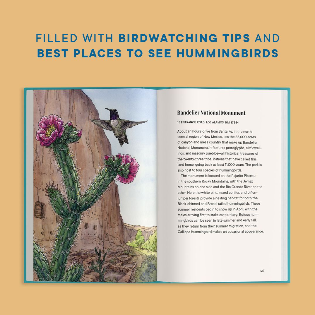 A Little Book of Hummingbirds: A Bird Identification Book