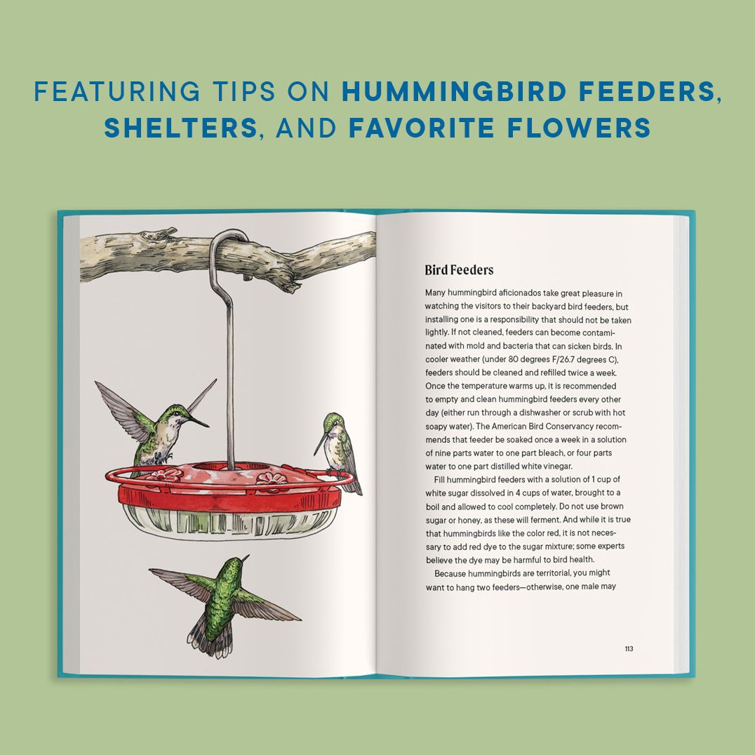 A Little Book of Hummingbirds: A Bird Identification Book