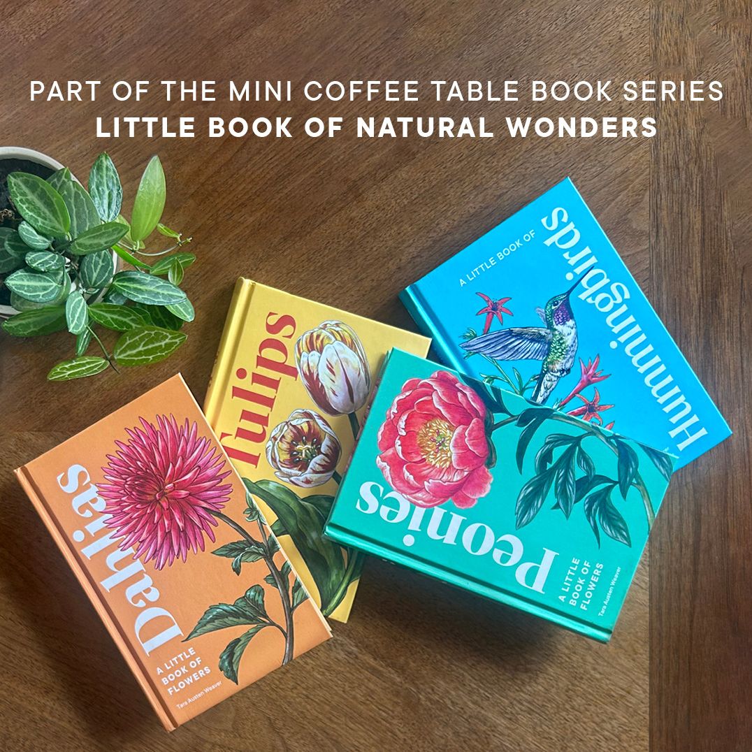 A Little Book of Hummingbirds: A Bird Identification Book
