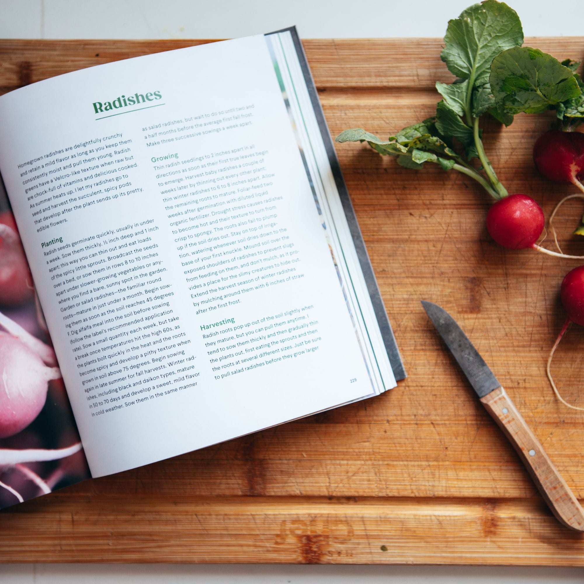 Grow Cook Eat: A Food Lover's Guide to Vegetable Gardening, Including How to Grow 50 Vegetables, Herbs, and Fruits