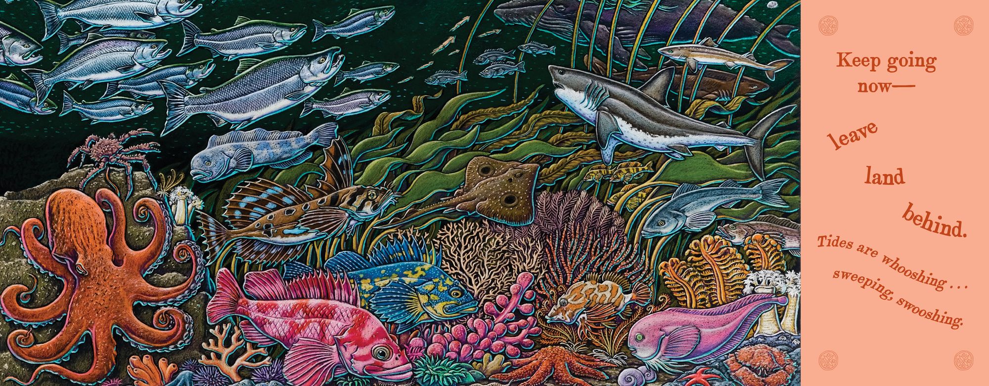 On An Ocean Journey: Animals in Motion Through the Seas (Ocean Books for Kids)