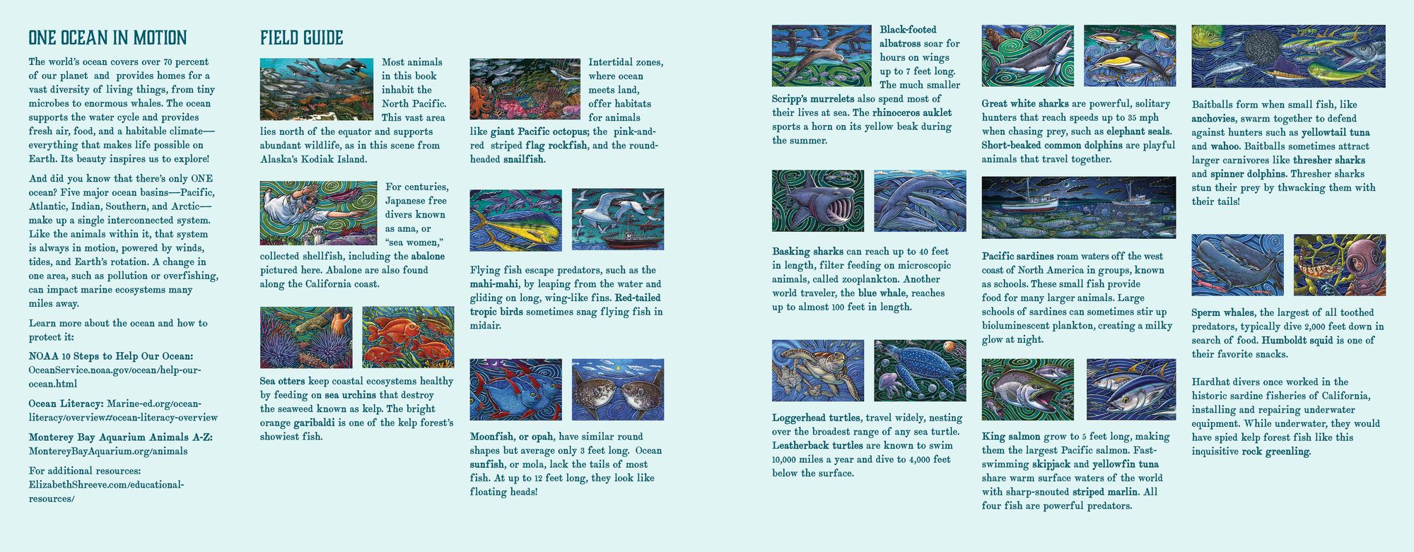 On An Ocean Journey: Animals in Motion Through the Seas (Ocean Books for Kids)