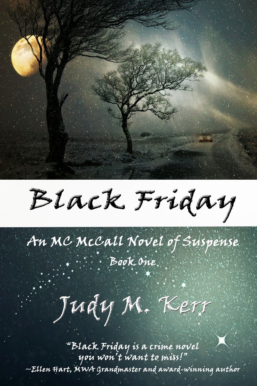 Black Friday: An MC McCall Novel of Suspense