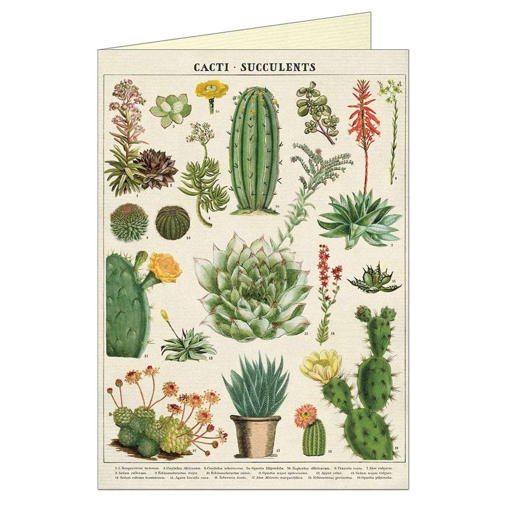 Cacti and Succulents Greeting Card