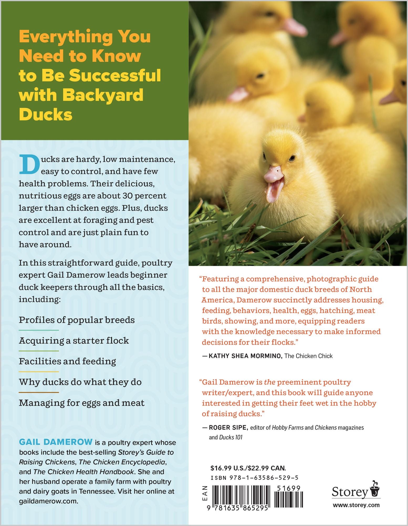 An Absolute Beginner's Guide to Raising Backyard Ducks: Breeds, Feeding, Housing and Care, Eggs and Meat