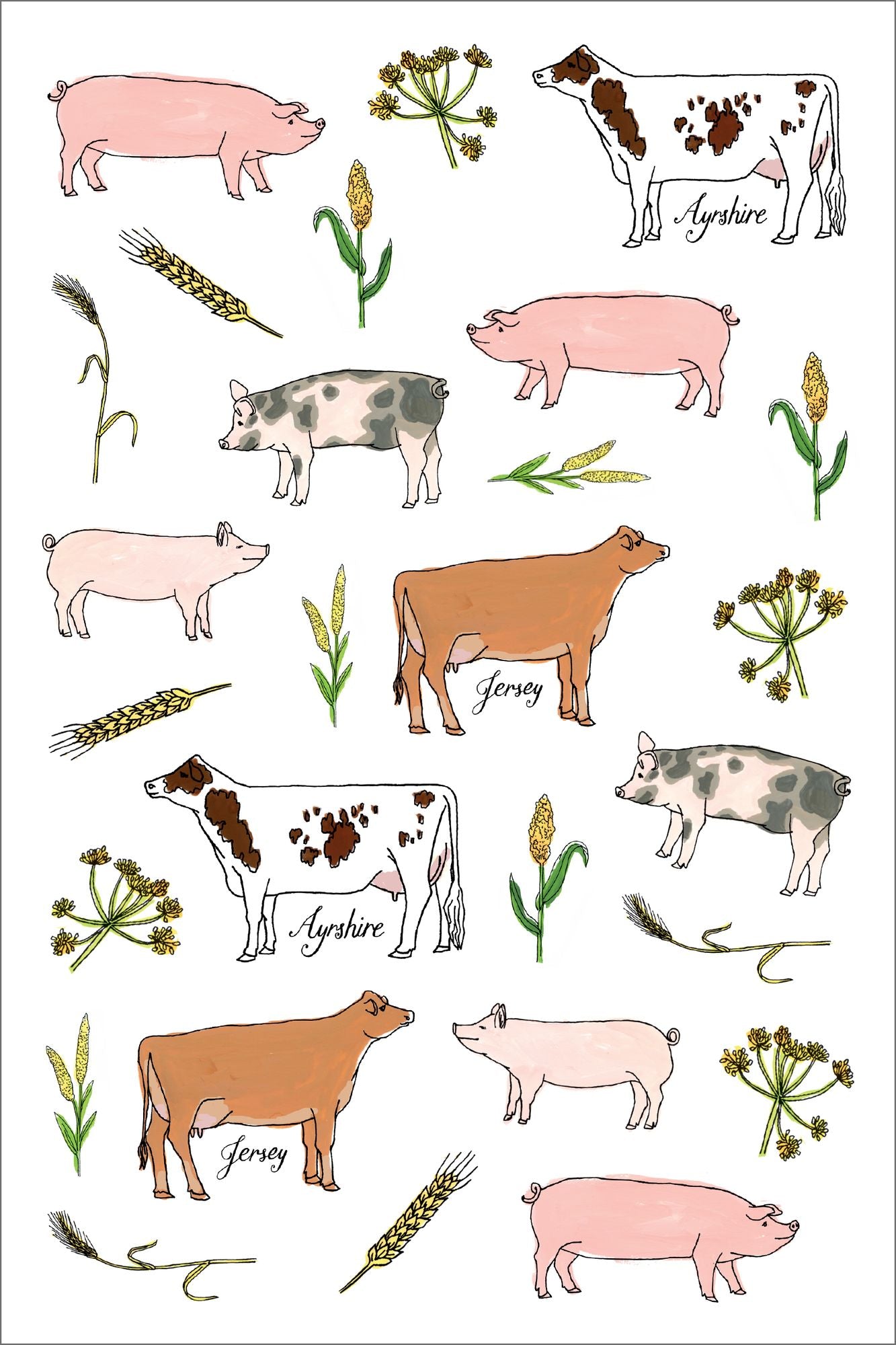 Farm Anatomy Sticker Book: A Julia Rothman Creation; More than 750 Stickers