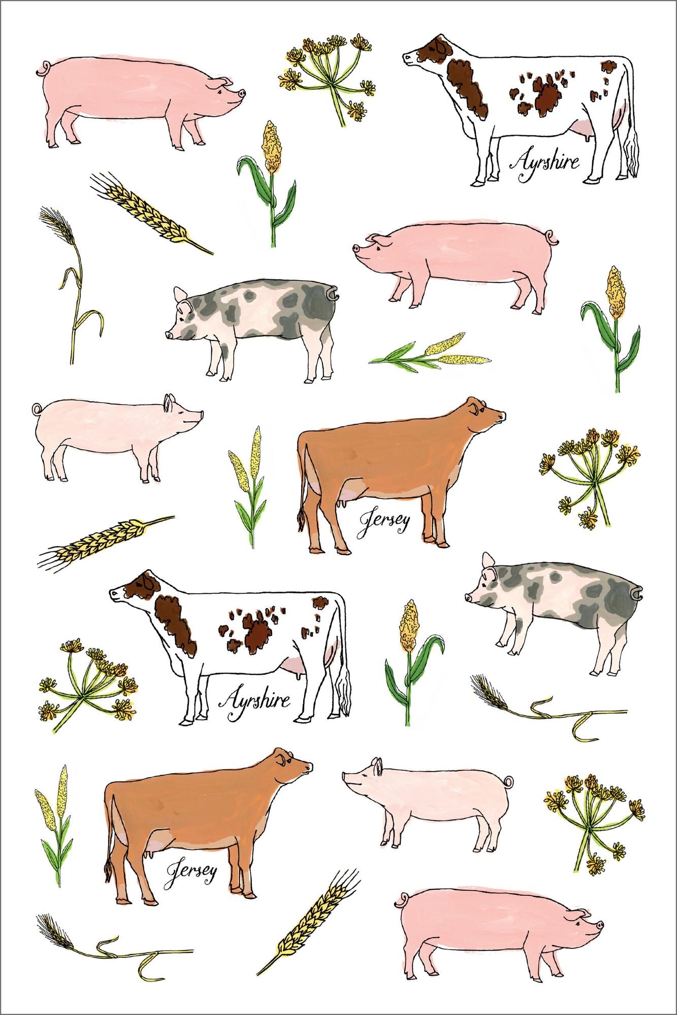 Farm Anatomy Sticker Book: A Julia Rothman Creation; More than 750 Stickers