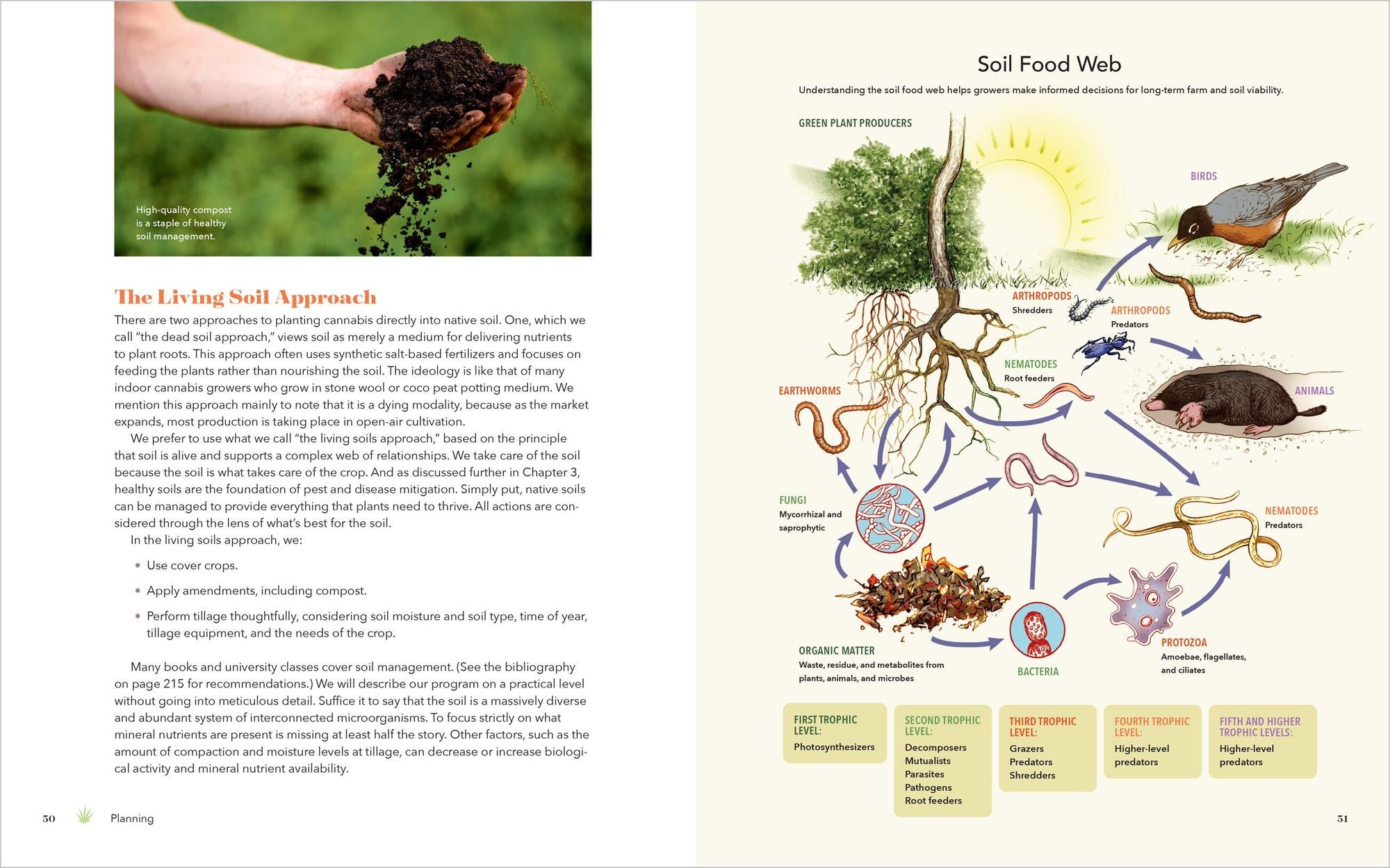 Cannabis Farming: How to Grow, Harvest, and Process Organic, Field-Grown Cannabis