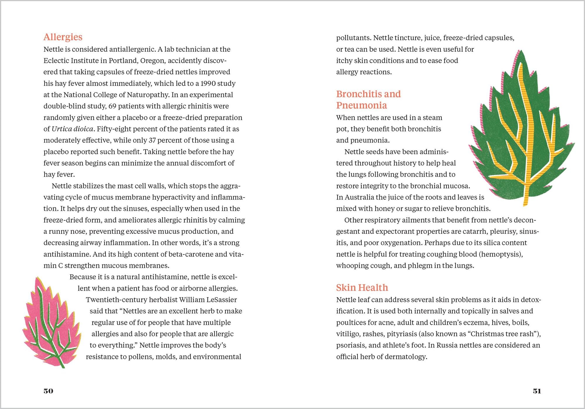 Nettle Power: Forage, Feast & Nourish Yourself with This Remarkable Healing Plant