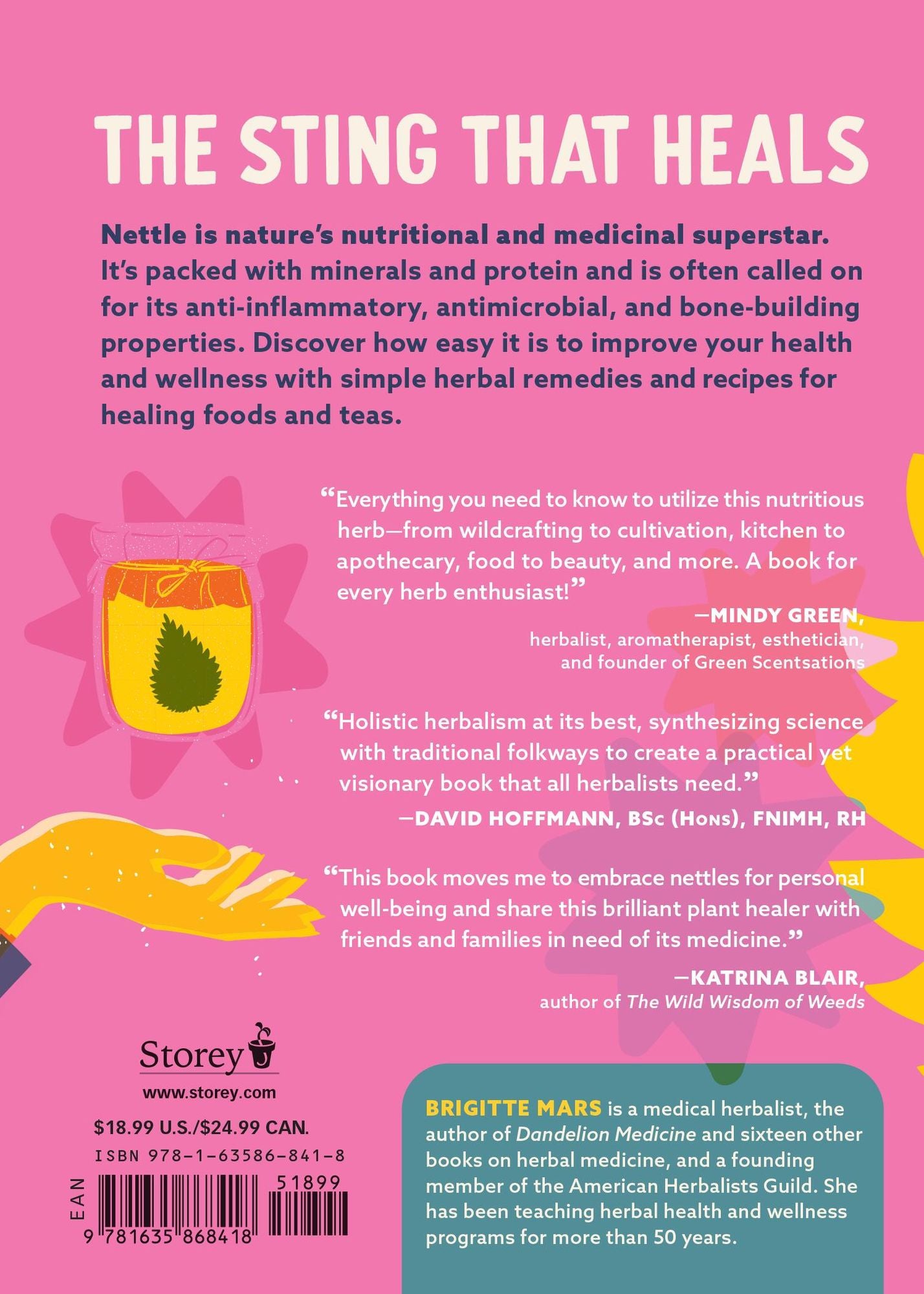 Nettle Power: Forage, Feast & Nourish Yourself with This Remarkable Healing Plant