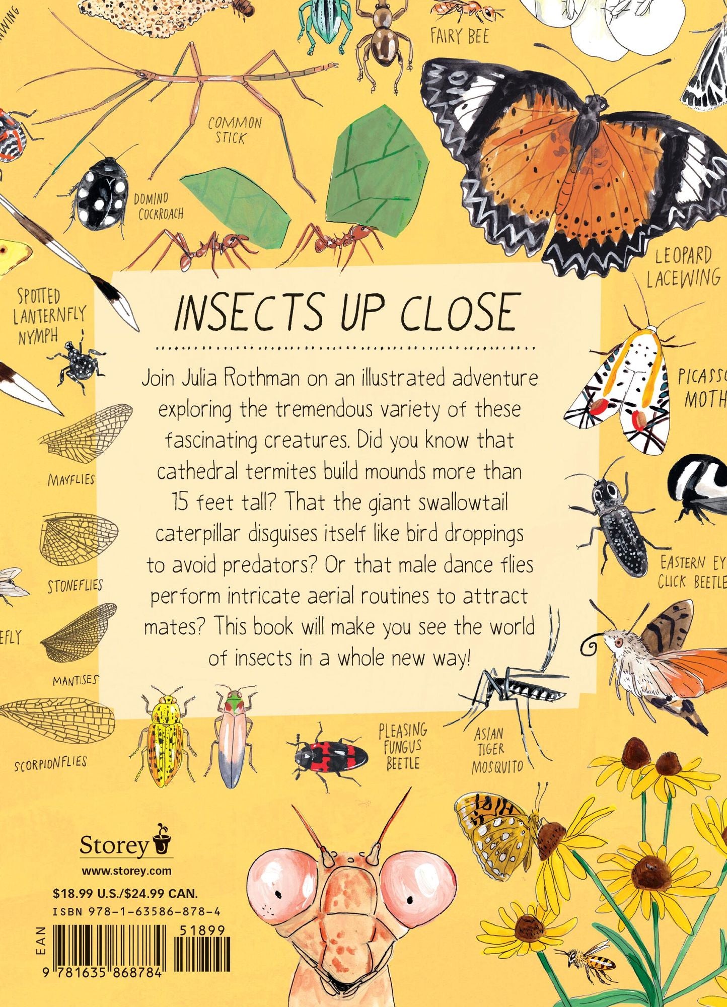 Insect Anatomy: The Curious World of Bees, Beetles, Butterflies, and Bugs