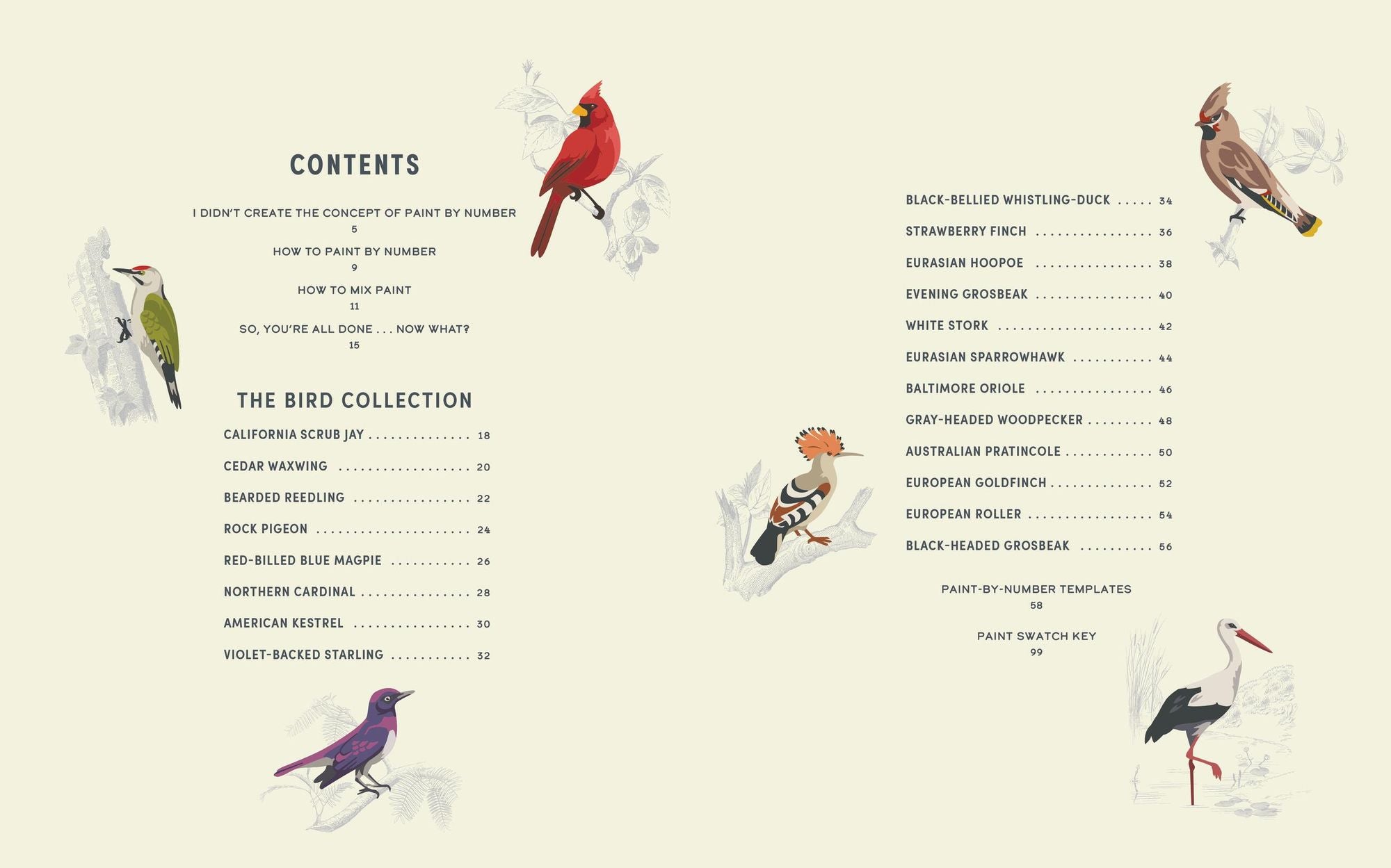 Coloready Birds: 20 Modern Paint-by-Number Prints