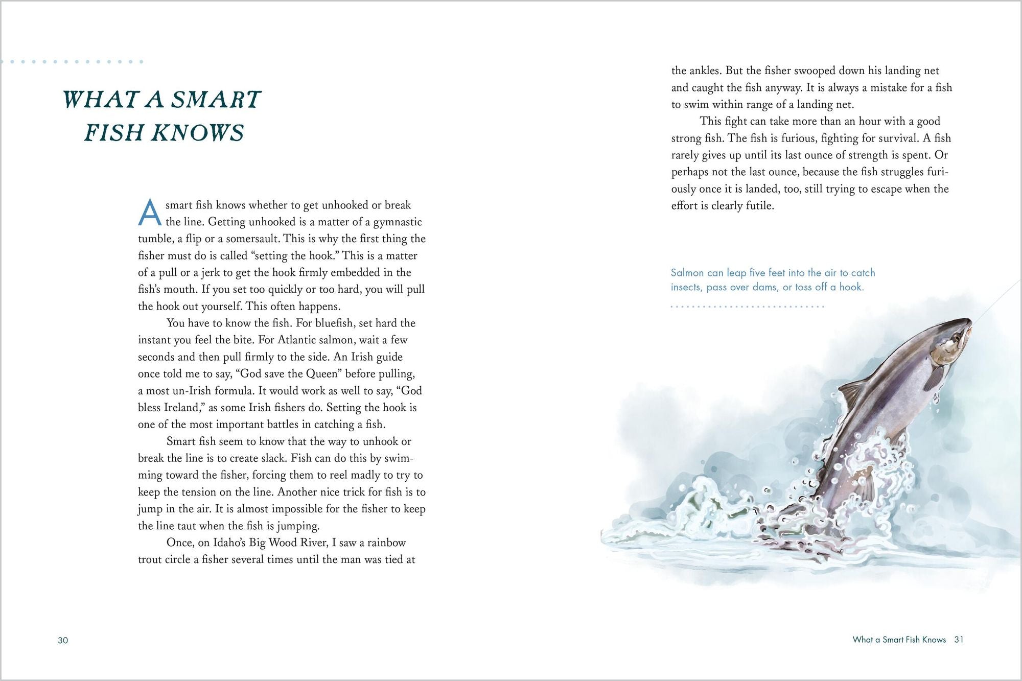 To Catch a Fish: Essays on the Joy, Frustration, Curiosity, and Allure of Fishing