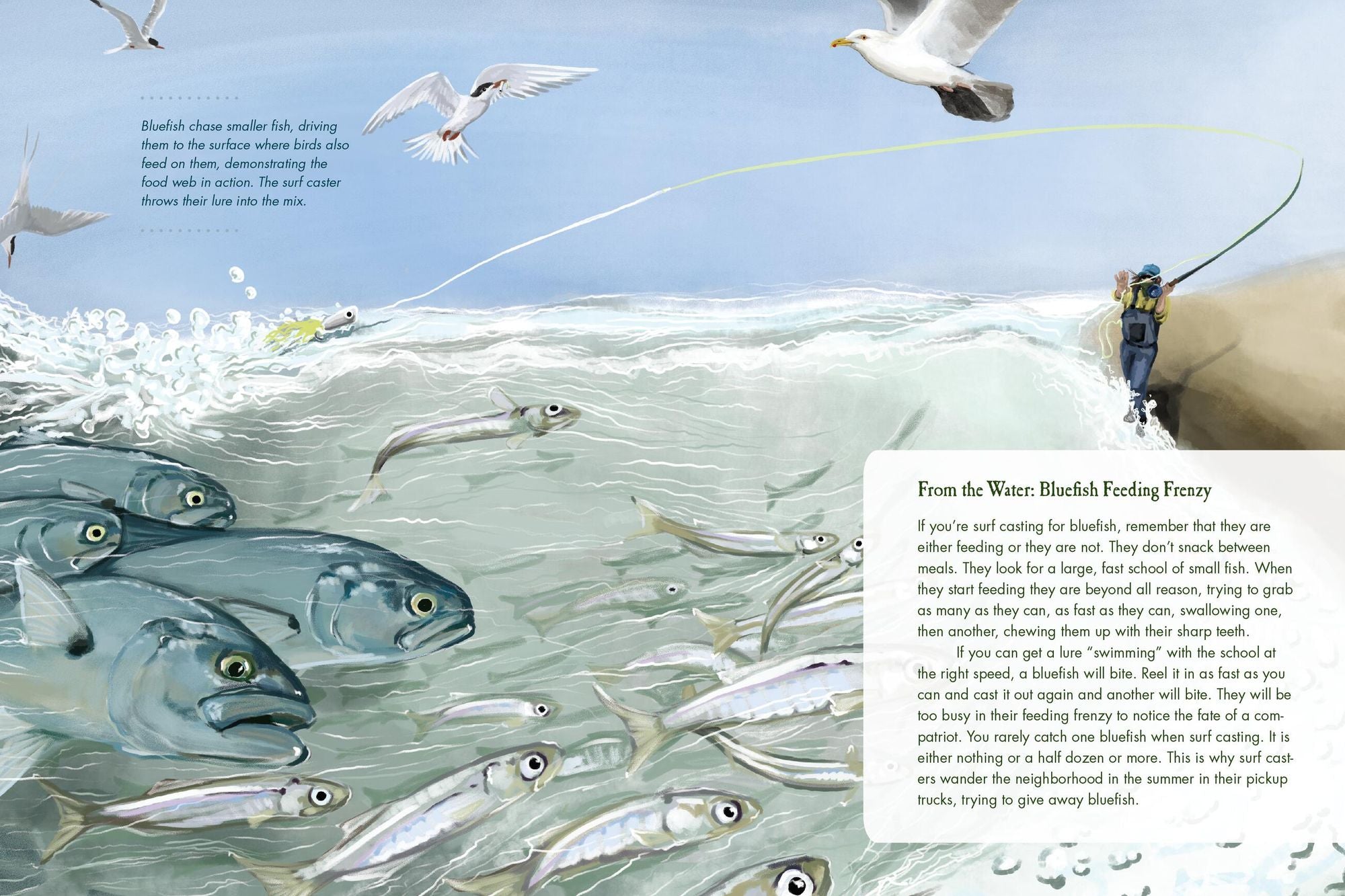 To Catch a Fish: Essays on the Joy, Frustration, Curiosity, and Allure of Fishing