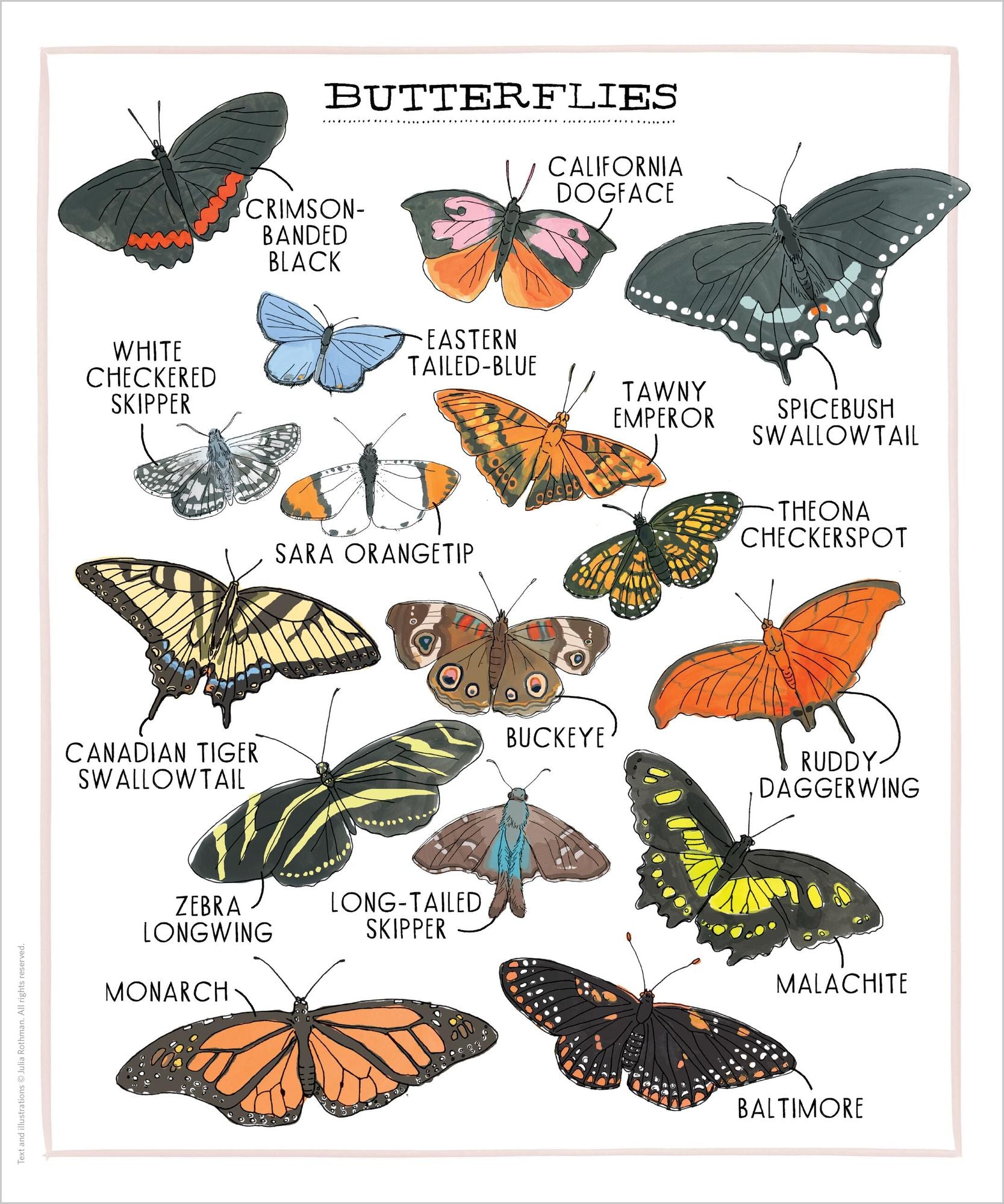 Nature Anatomy Posters: 28 Pull-Out Prints That Celebrate the Wonders of the Natural World