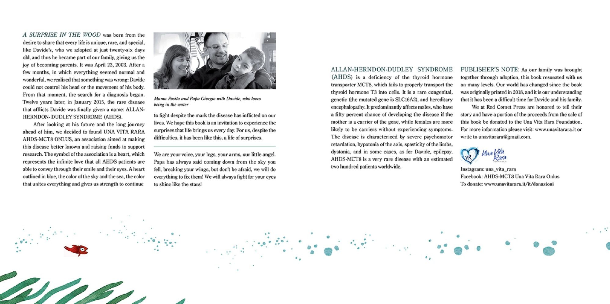 A Surprise in the Wood: A touching story of love and the true meaning of family.