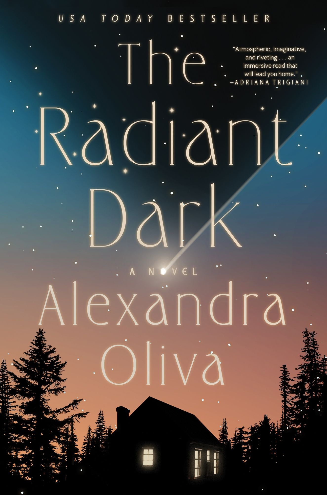 The Radiant Dark: A Novel