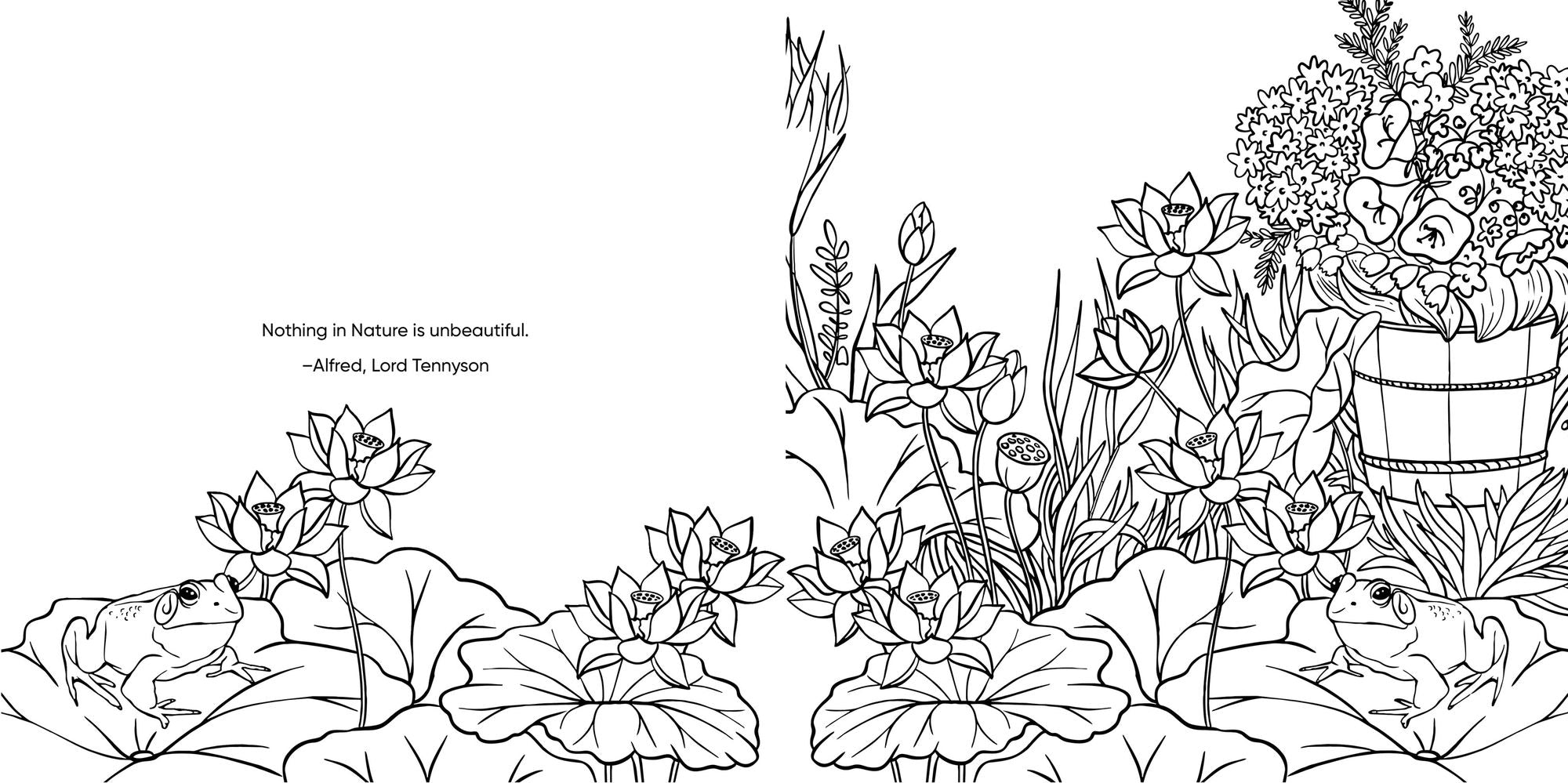 Keepsake Coloring Color Me Humming Bird