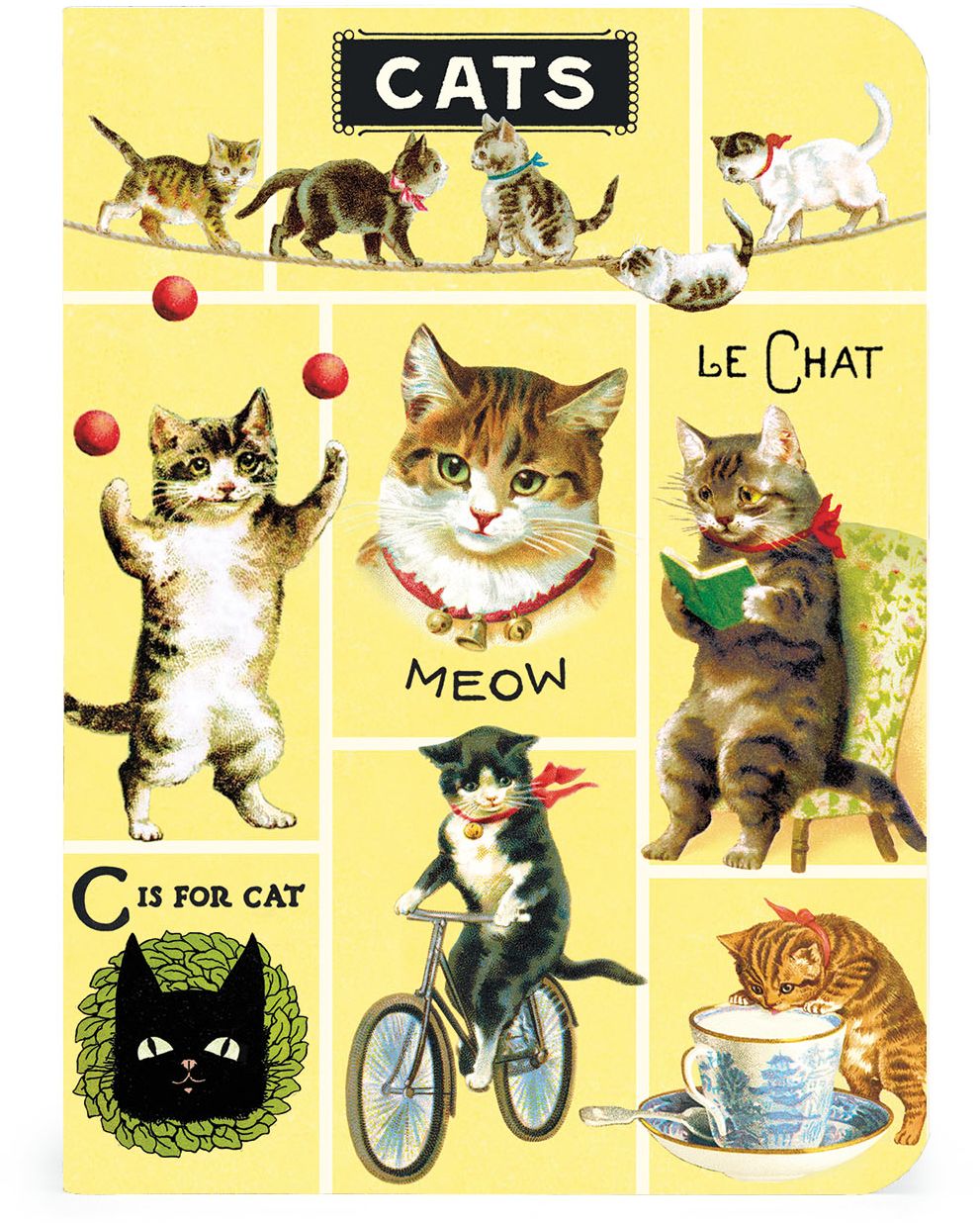 Cats Mini Notebooks Set
