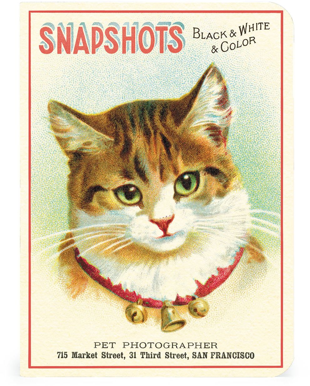 Cats Mini Notebooks Set