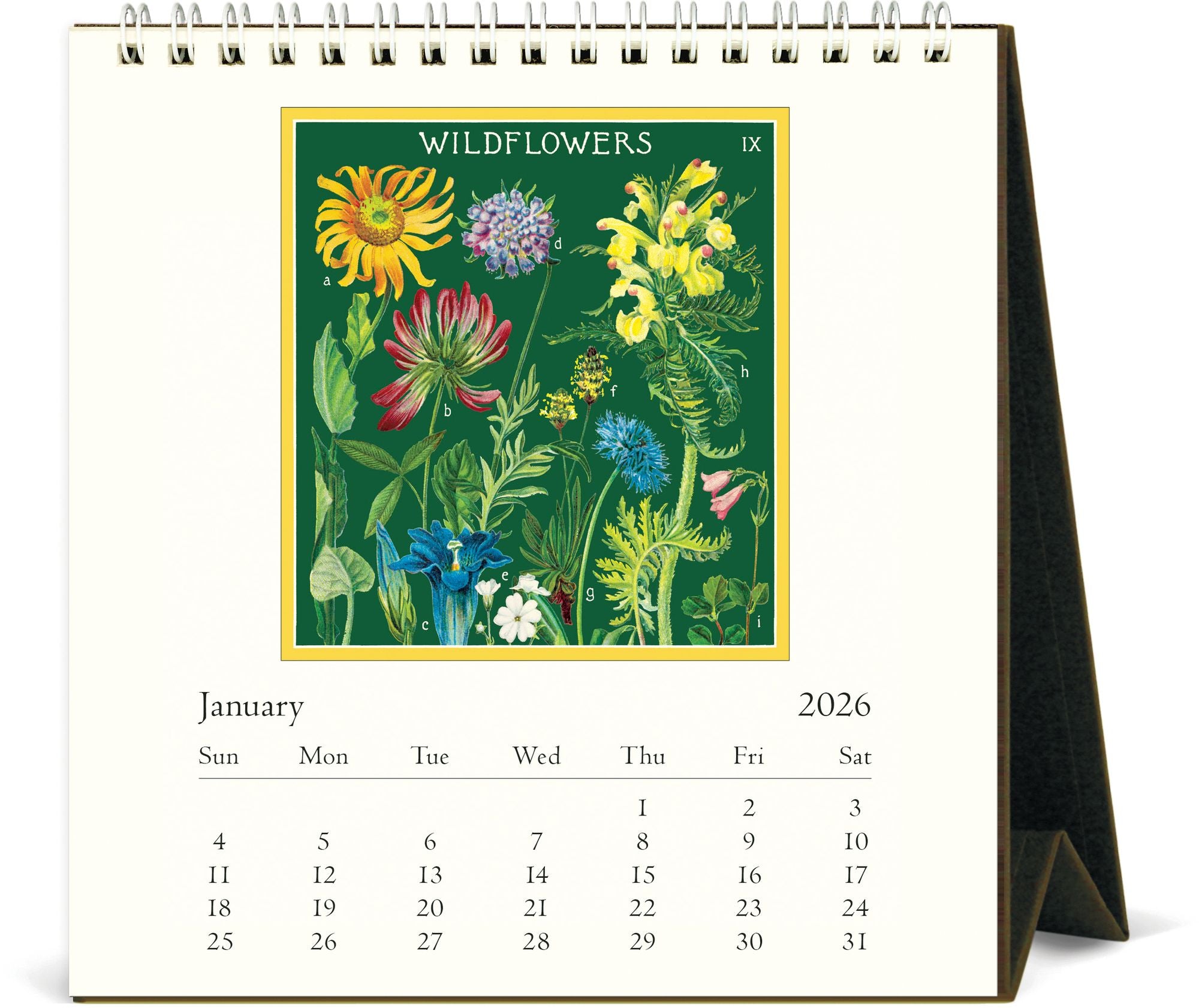 2026 Cavallini Wildflowers Desk Calendar