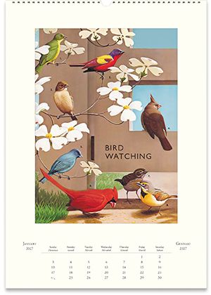2027 Bird Watching Wall Calendar