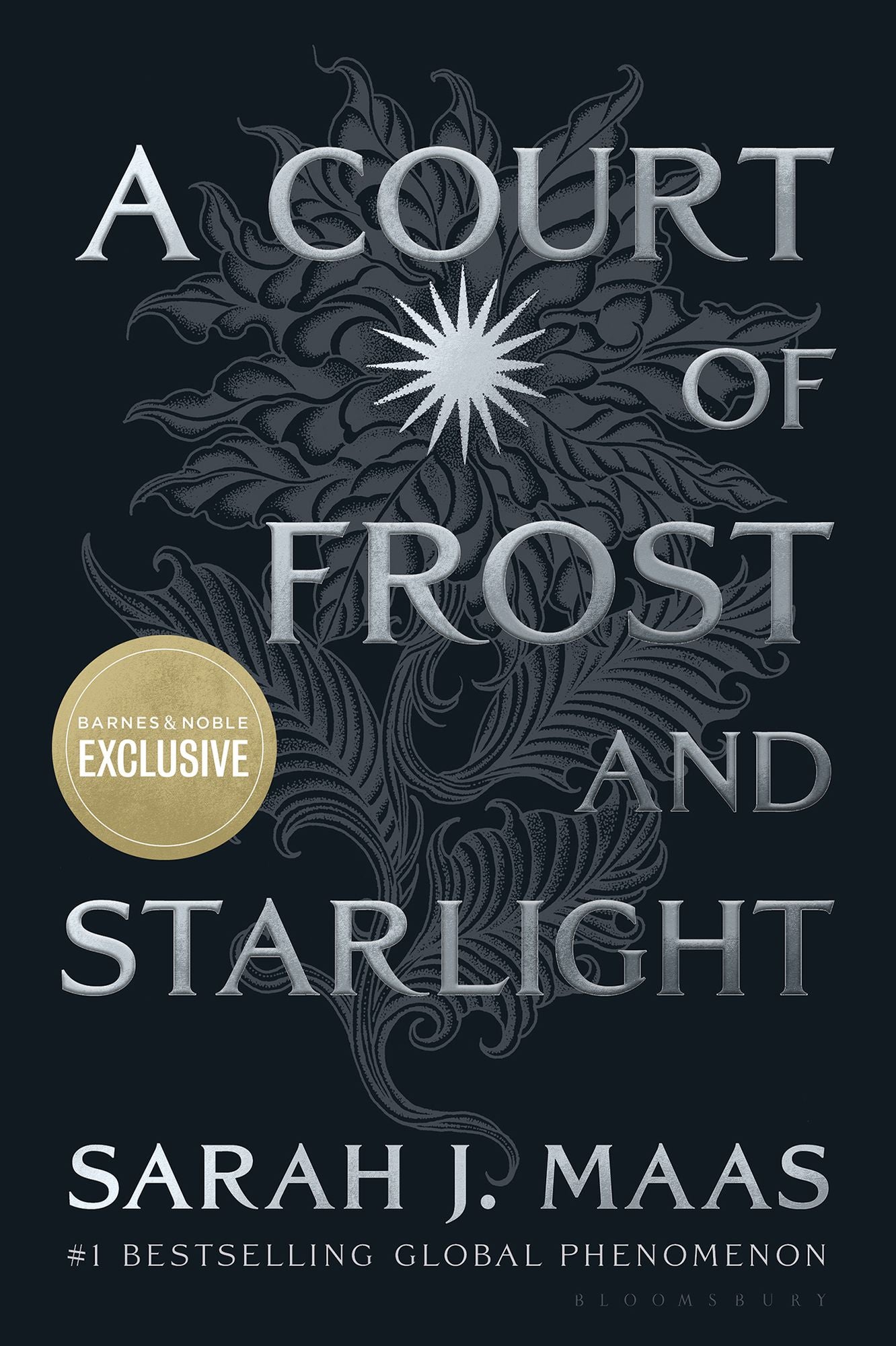 A Court of Frost and Starlight (B&N Exclusive Night Court Edition) (A Court of Thorns and Roses Series)