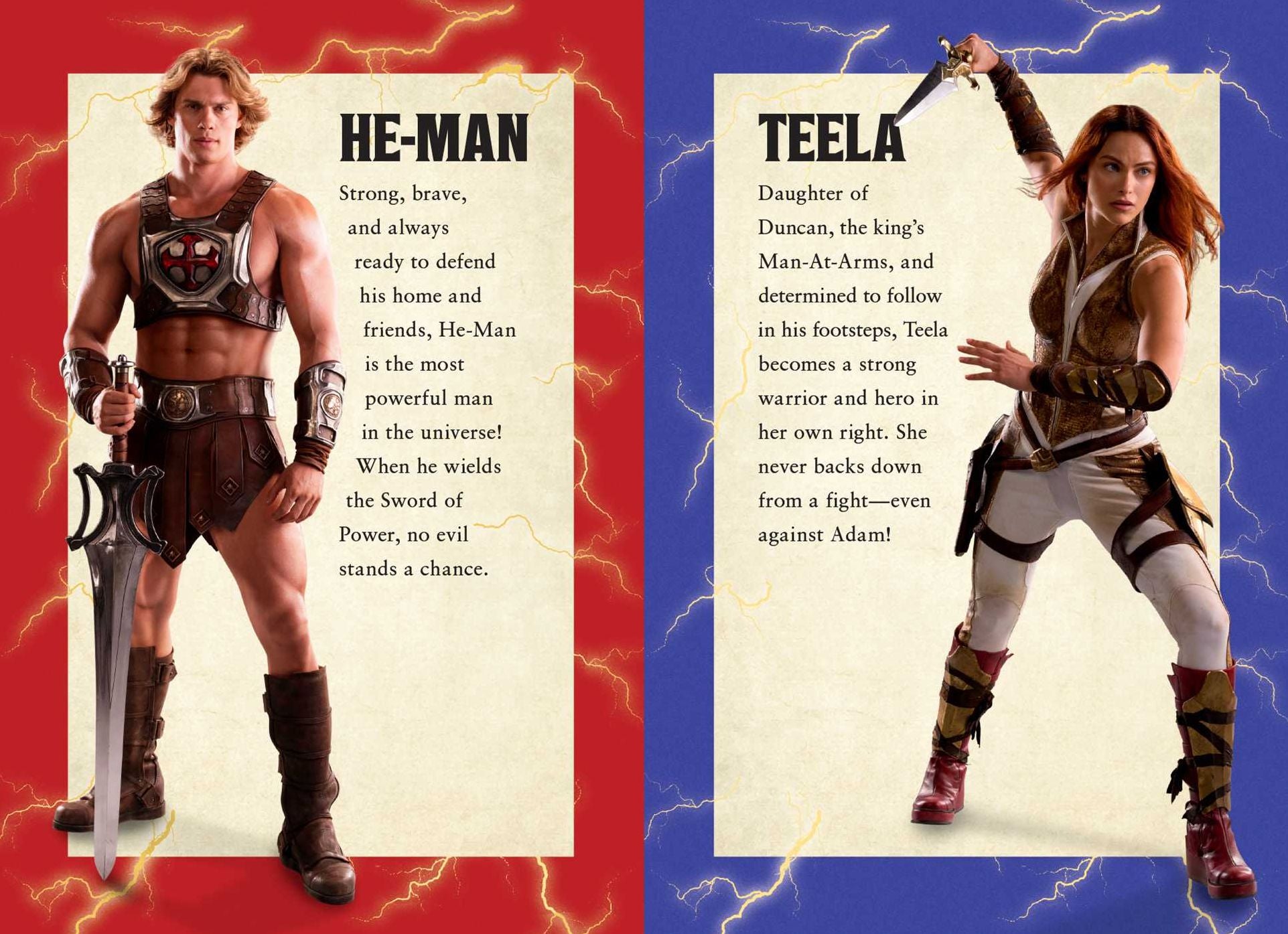Masters of the Universe (Film): The Junior Novel