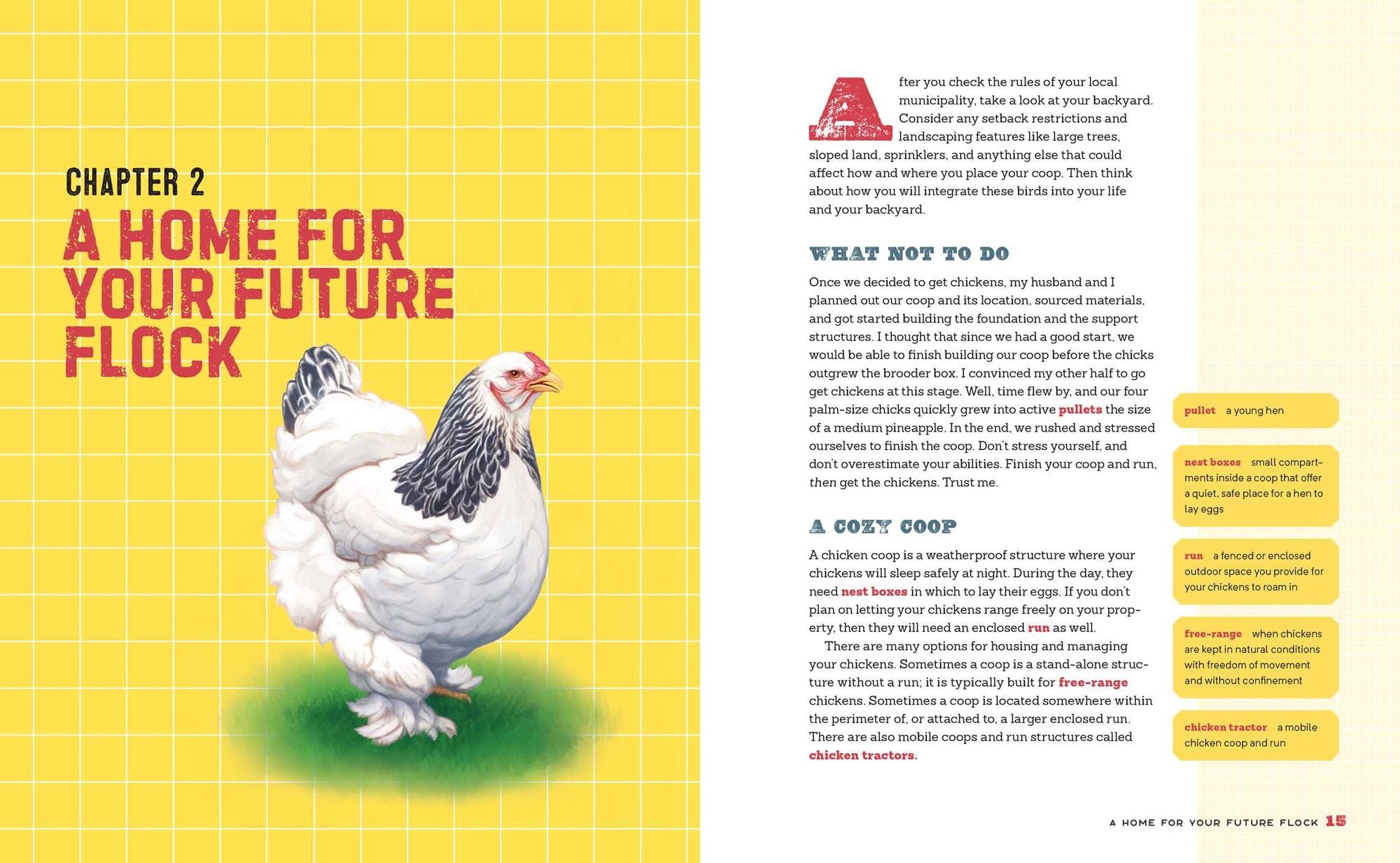 The Beginner's Guide to Raising Chickens: How to Raise a Happy Backyard Flock