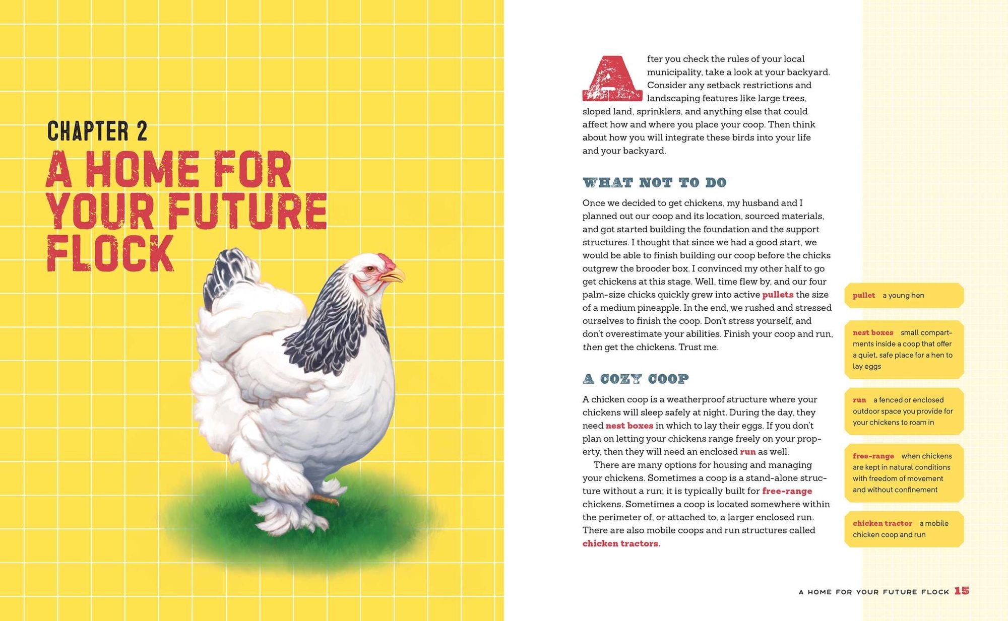 The Beginner's Guide to Raising Chickens: How to Raise a Happy Backyard Flock
