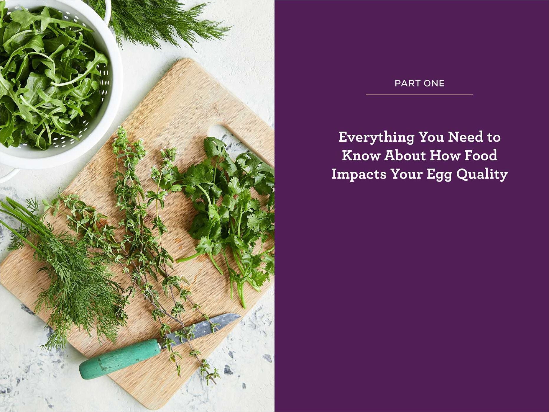 IVF Meal Plan: Maximize Your Chances of IVF Success Through Diet