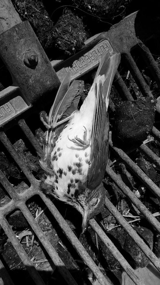 Restoring Eden: Unearthing the Agribusiness Secret That Poisoned My Farming Community
