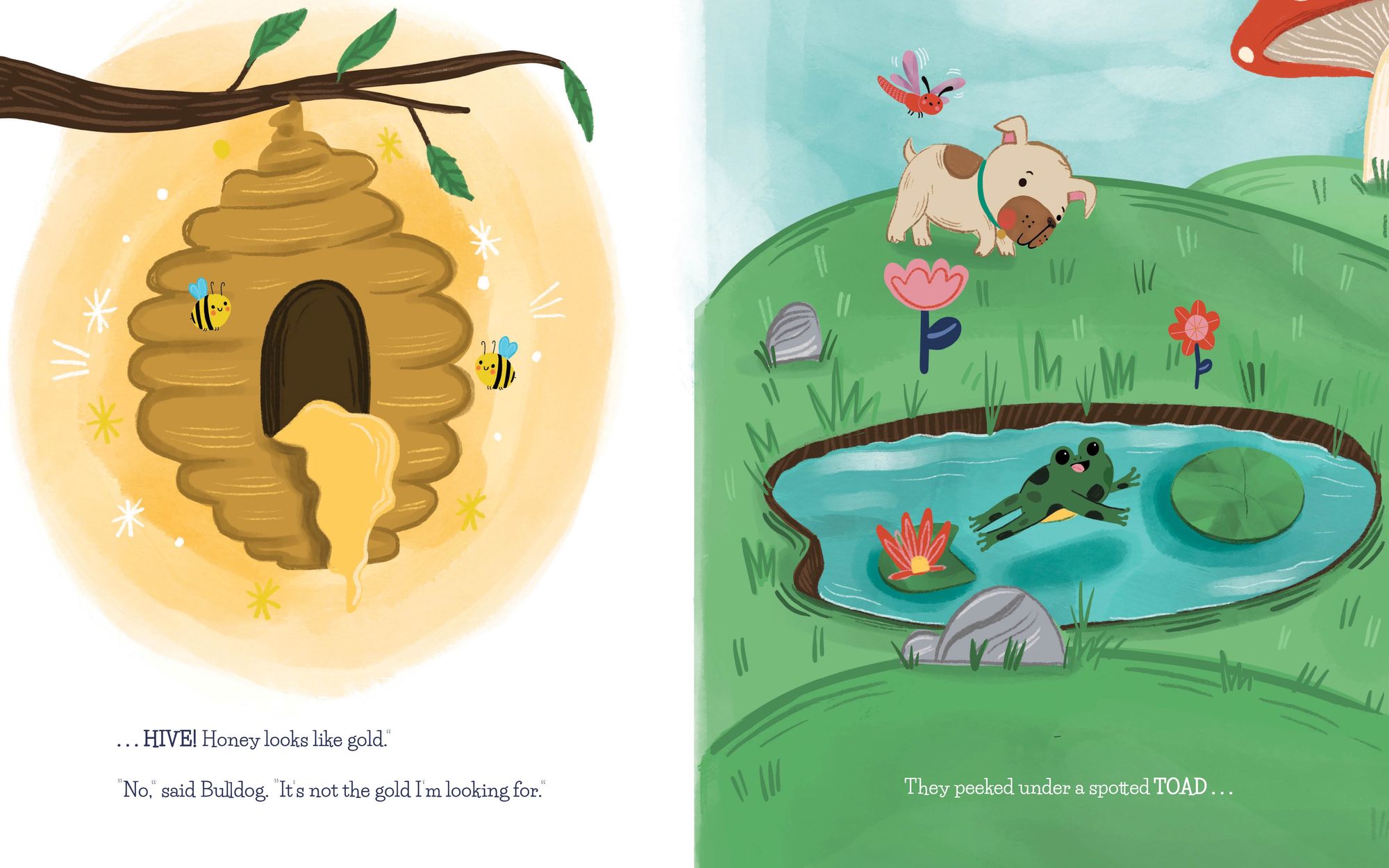 The Compound Noun Treasure Hunt: A Picture Book about Compound Words