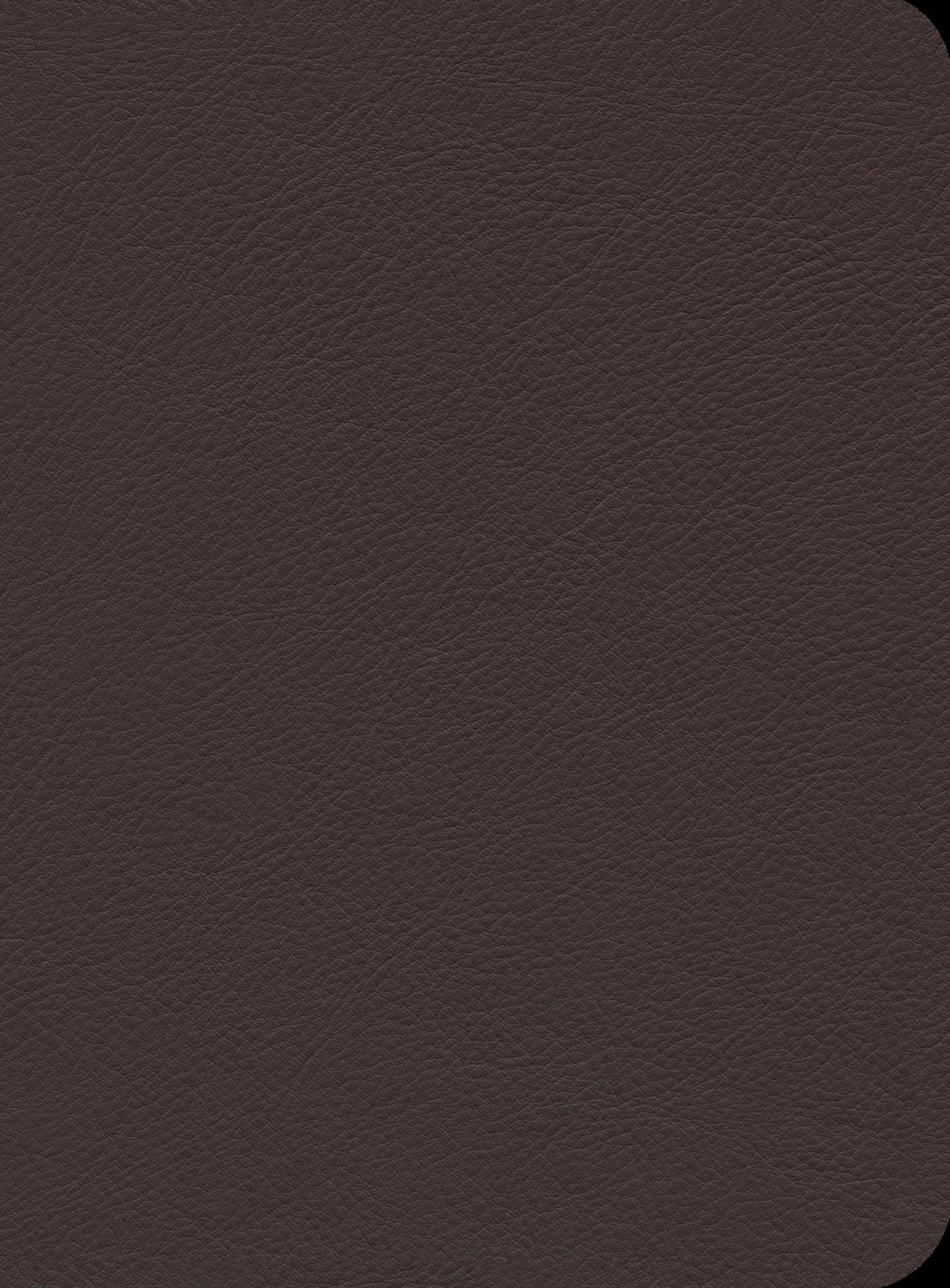 ESV Reformation Study Bible, Burgundy, Seville Cowhide