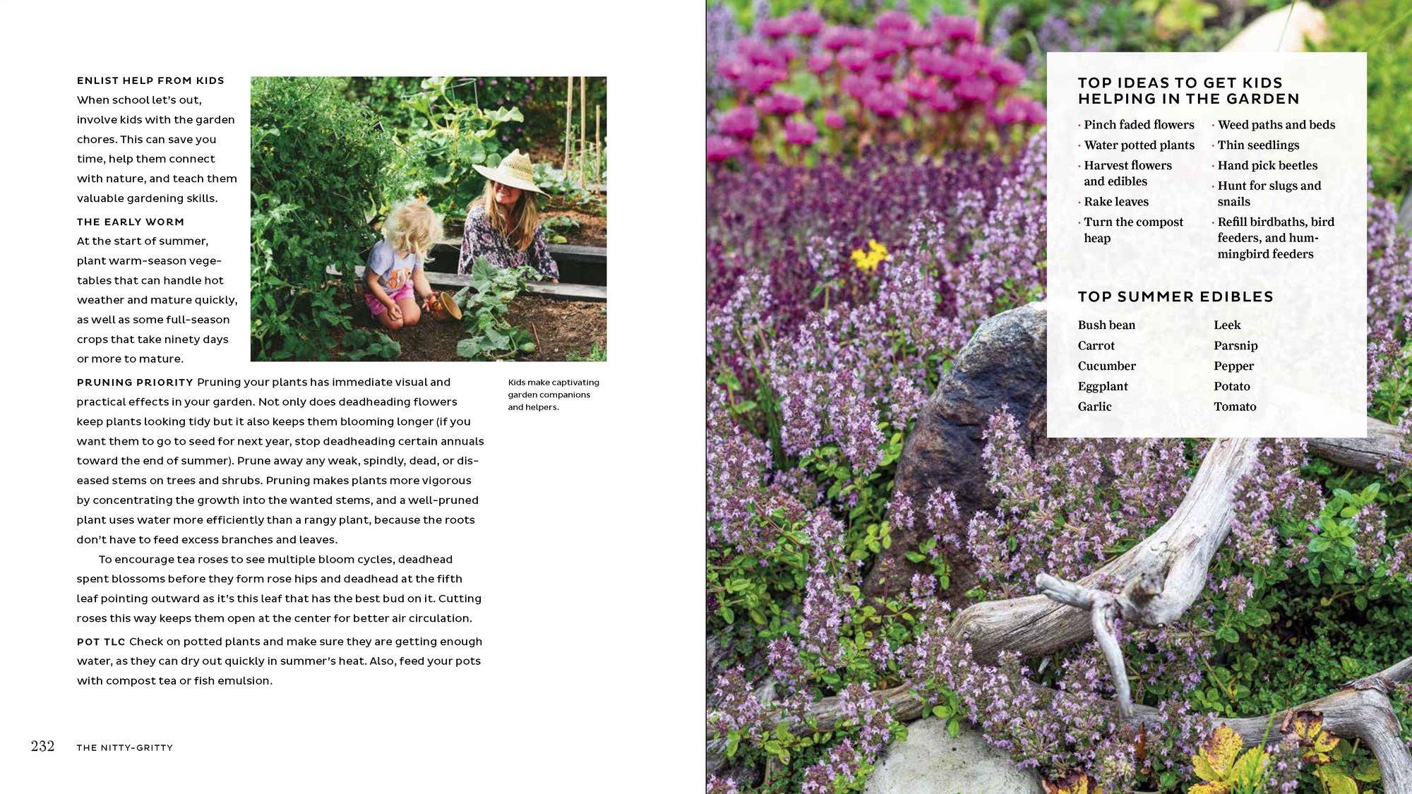 The Garden Refresh: How to Give Your Yard Big Impact on a Small Budget