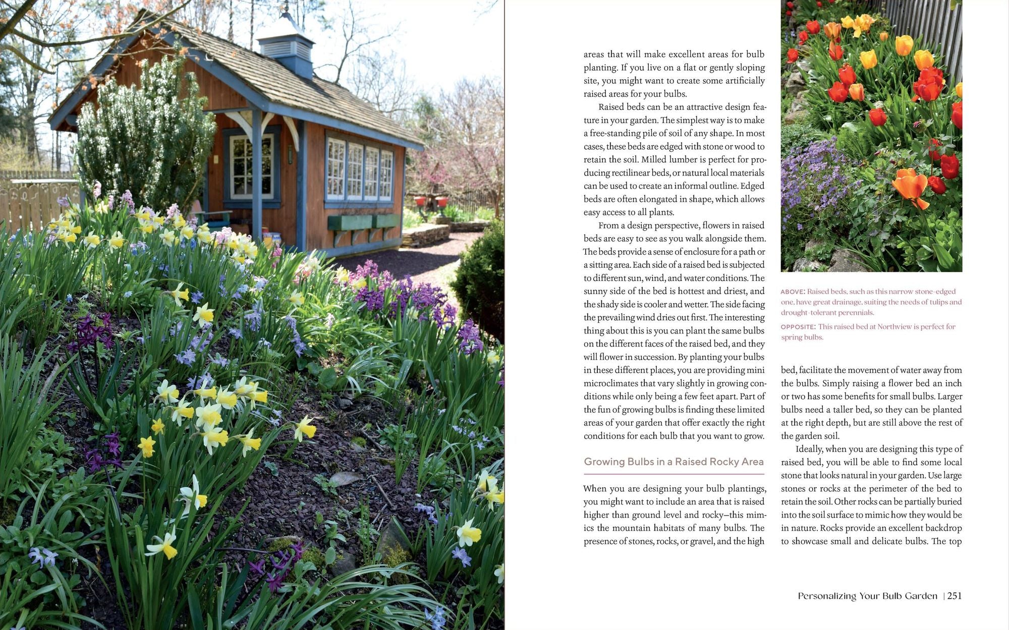The Essential Guide to Bulbs: Grow a Bounty of Beautiful Bulbs in Gardens and Containers