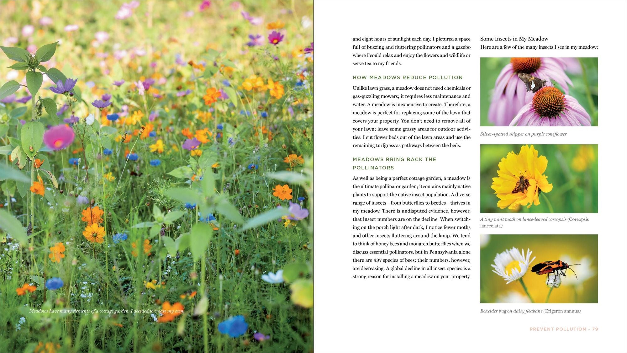 The Contemporary Cottage Garden: Climate-Friendly, Mindful Methods for Growing Flowers and Food