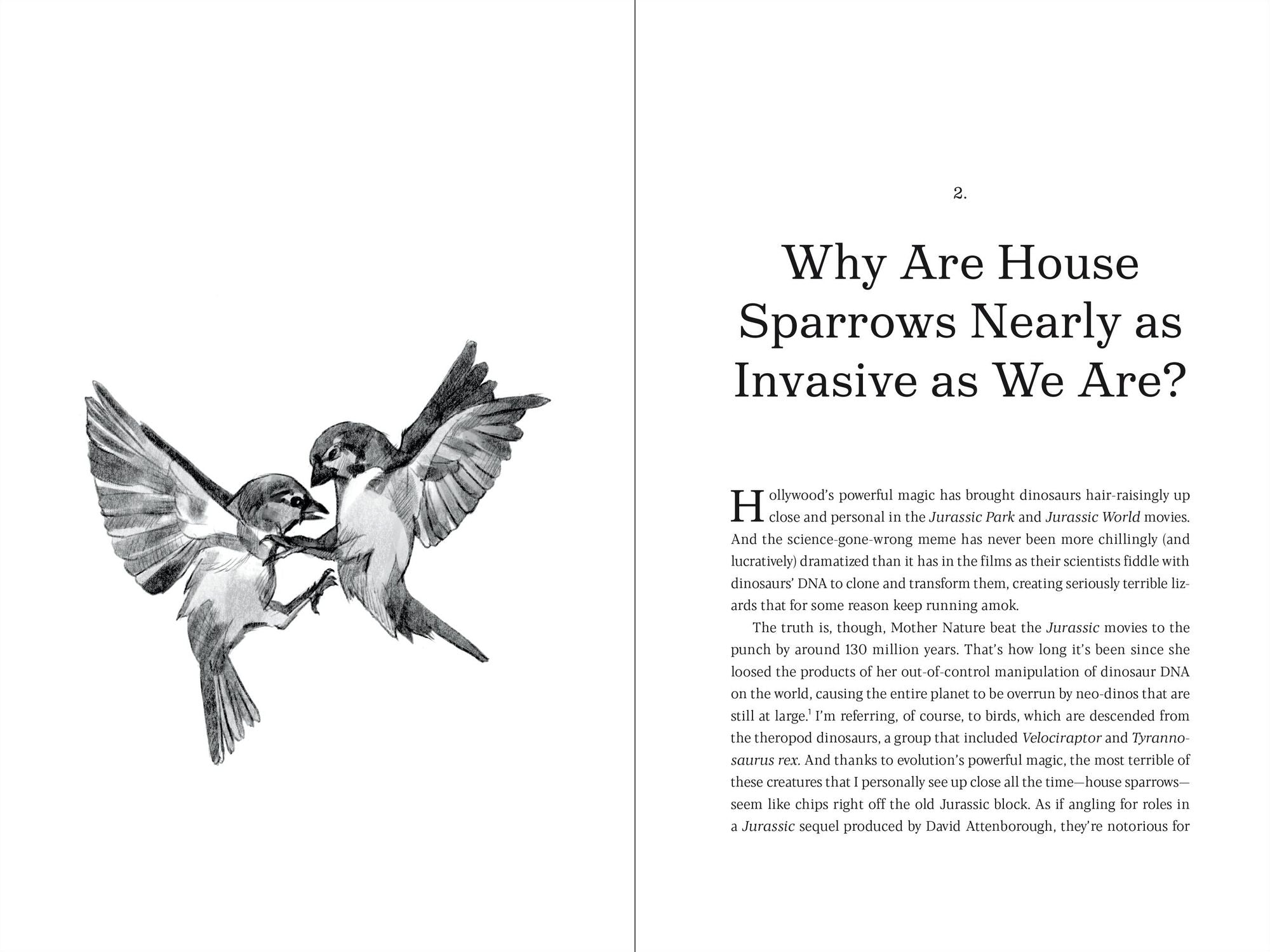 Why Rats Laugh and Jellyfish Sleep: And Other Enchanting Stories of Evolution