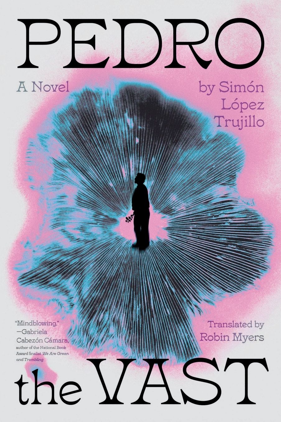 Pedro the Vast: A Novel