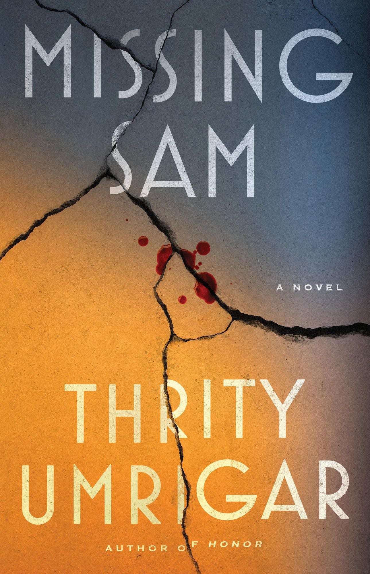 Missing Sam: A Novel