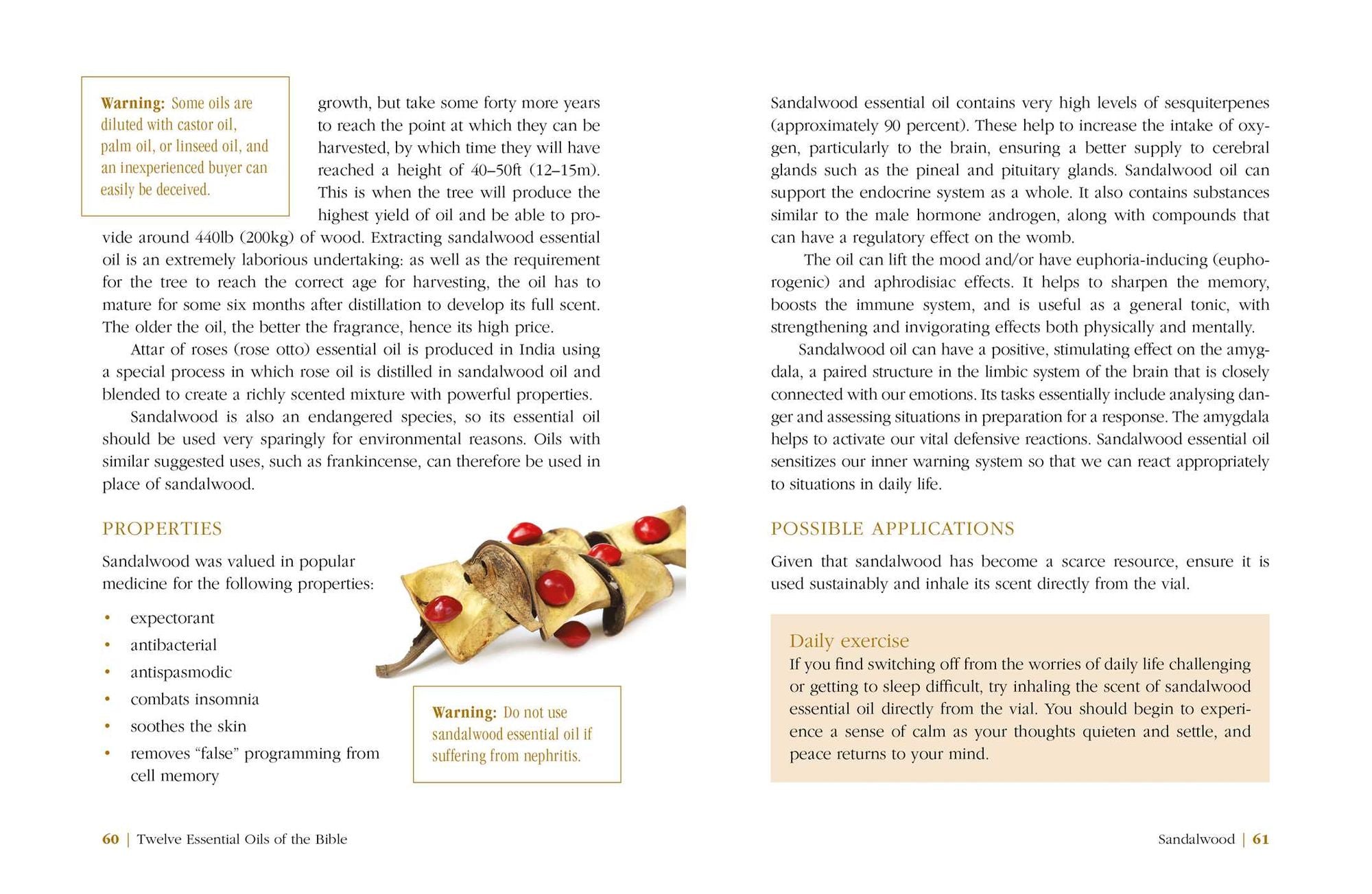Twelve Essential Oils of the Bible: Ancient Healing Oils and Their Contemporary Uses