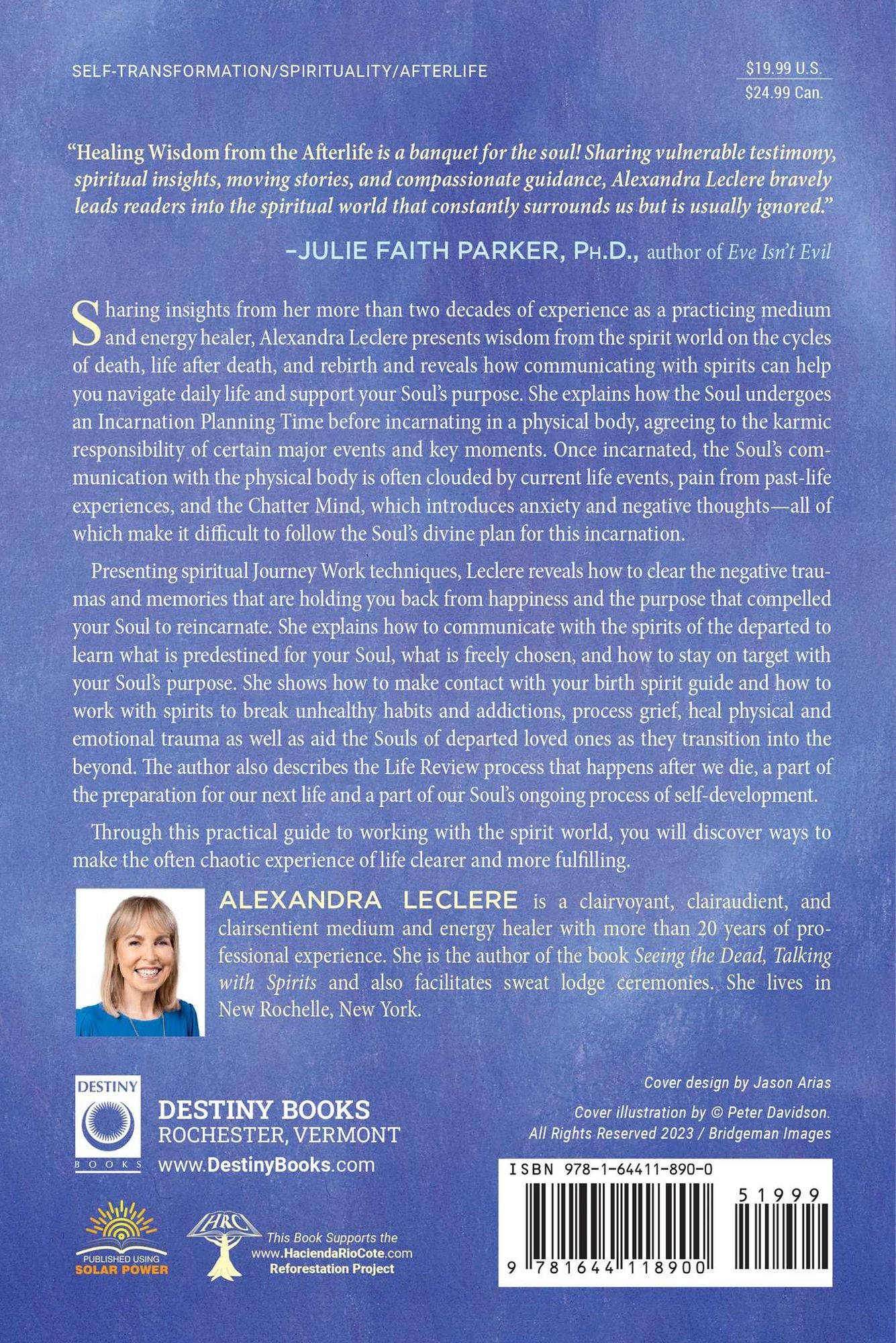 Healing Wisdom from the Afterlife: How to Communicate with the Spirit World