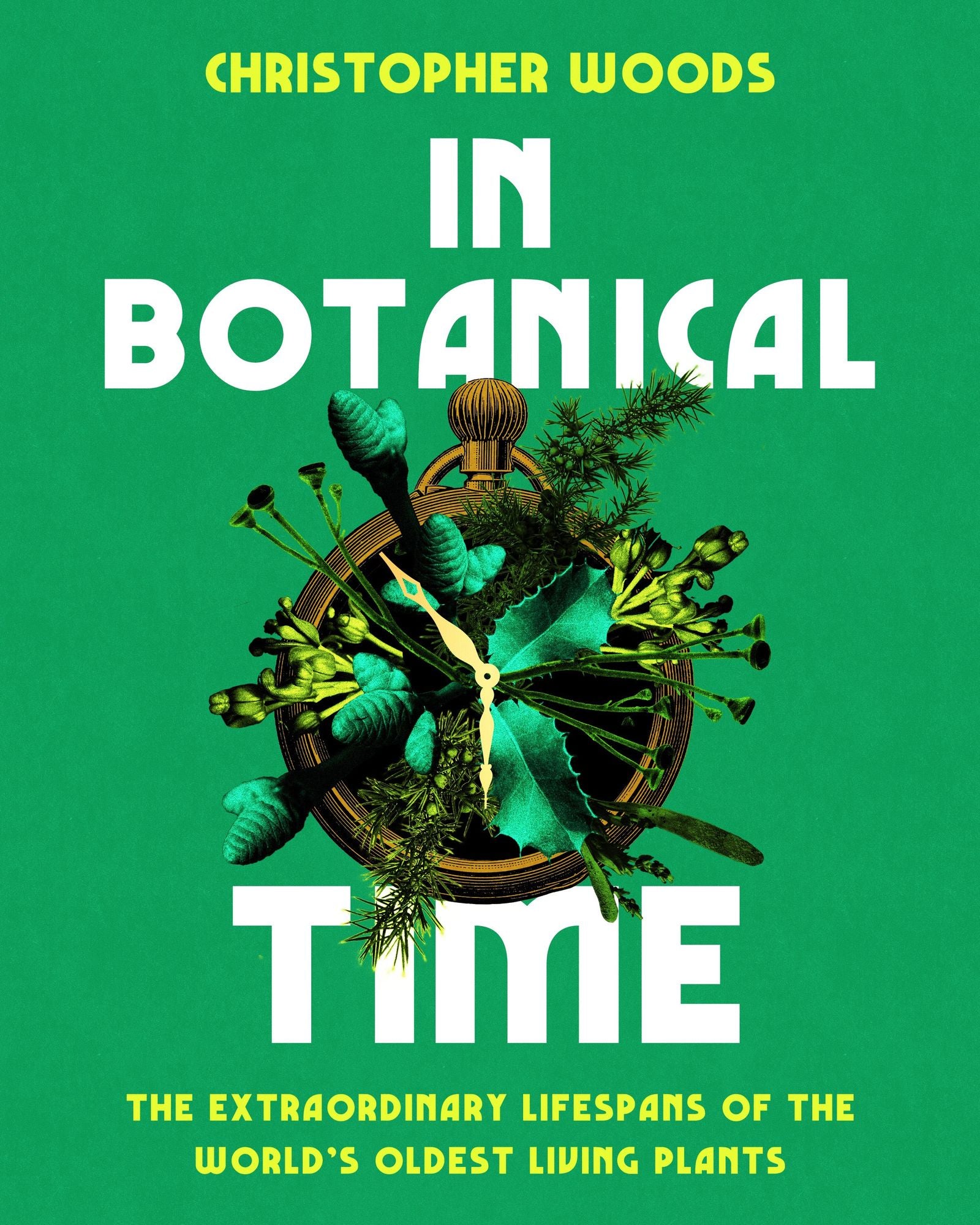 In Botanical Time: The Extraordinary Lifespans of the World's Oldest Living Plants