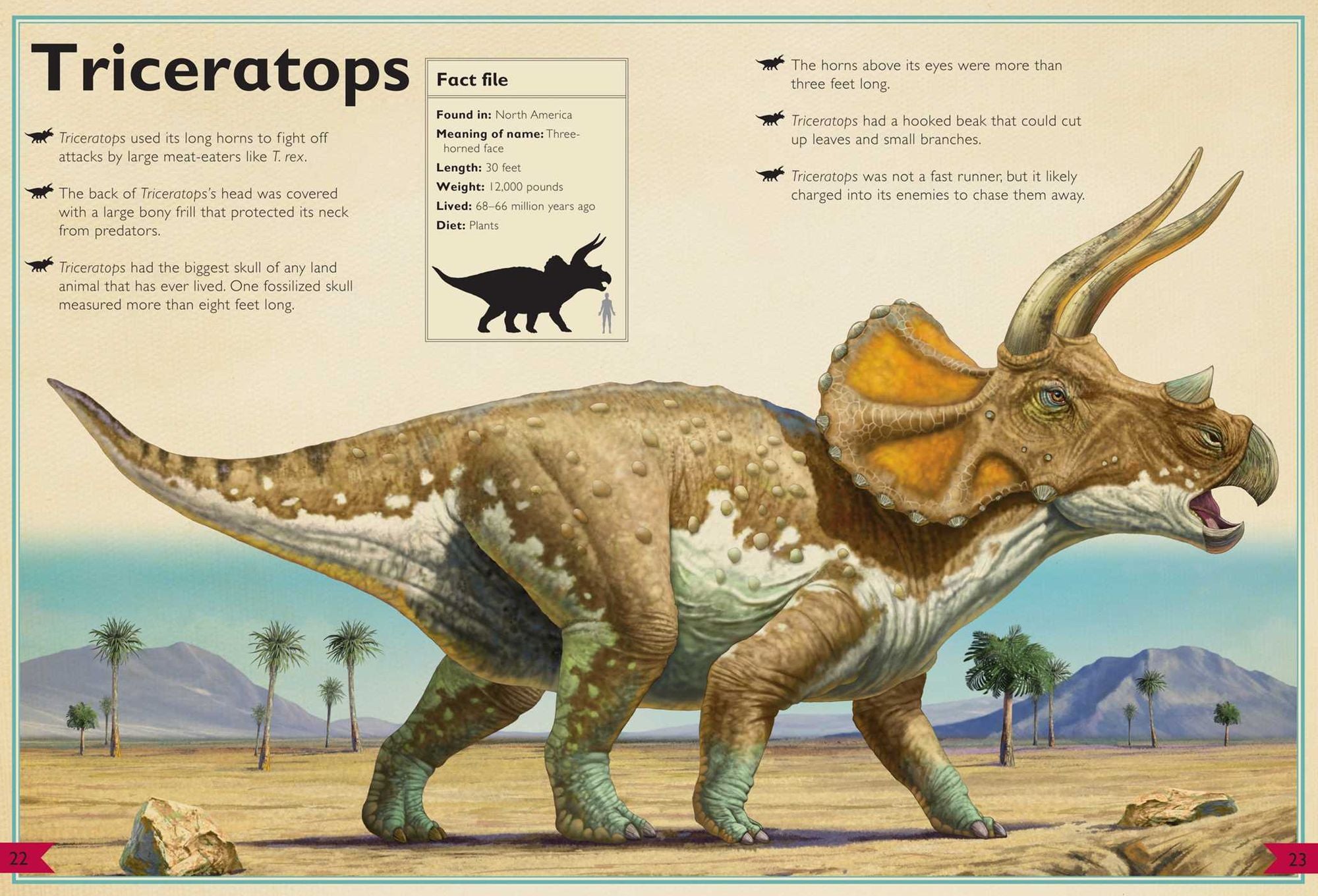 The Magnificent Book of Dinosaurs