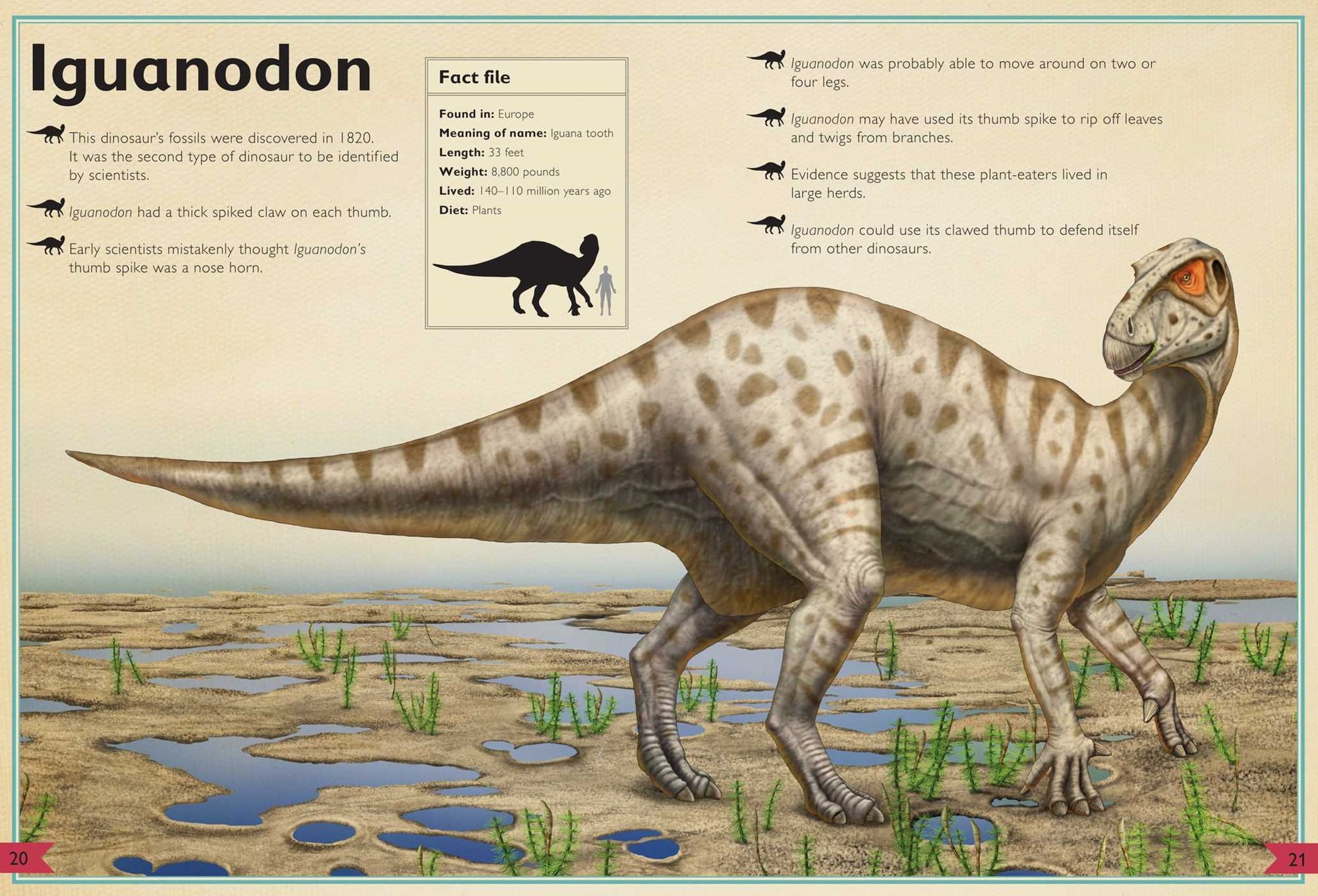 The Magnificent Book of Dinosaurs