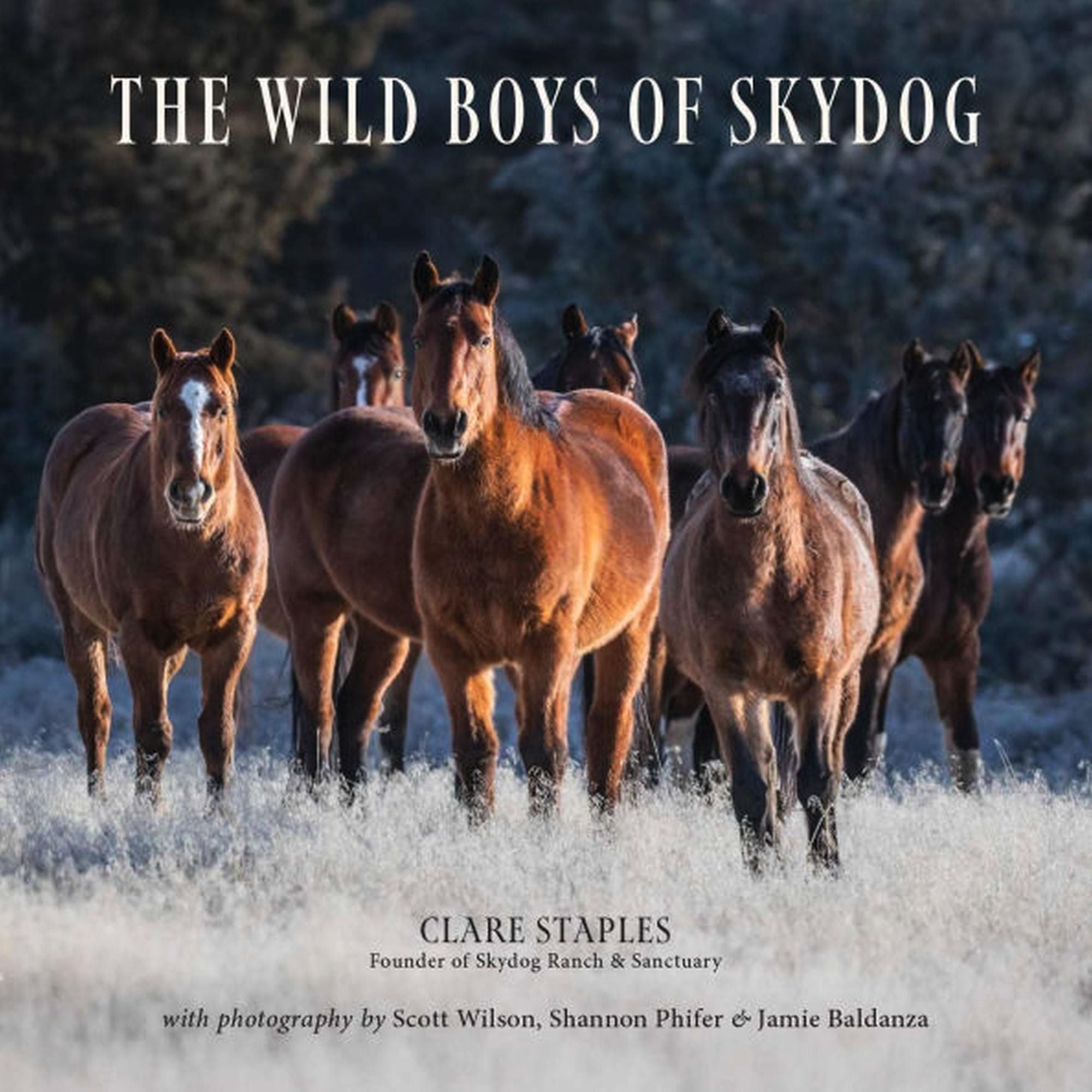 Wild Boys of Skydog